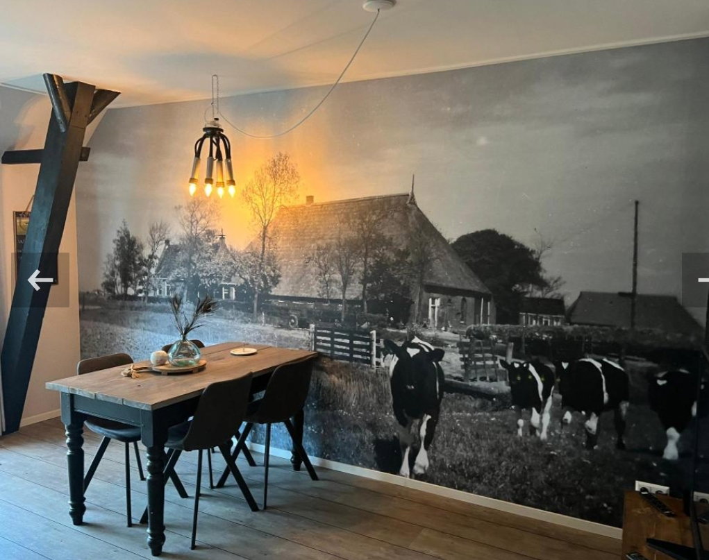 Maison nature à Holwerd