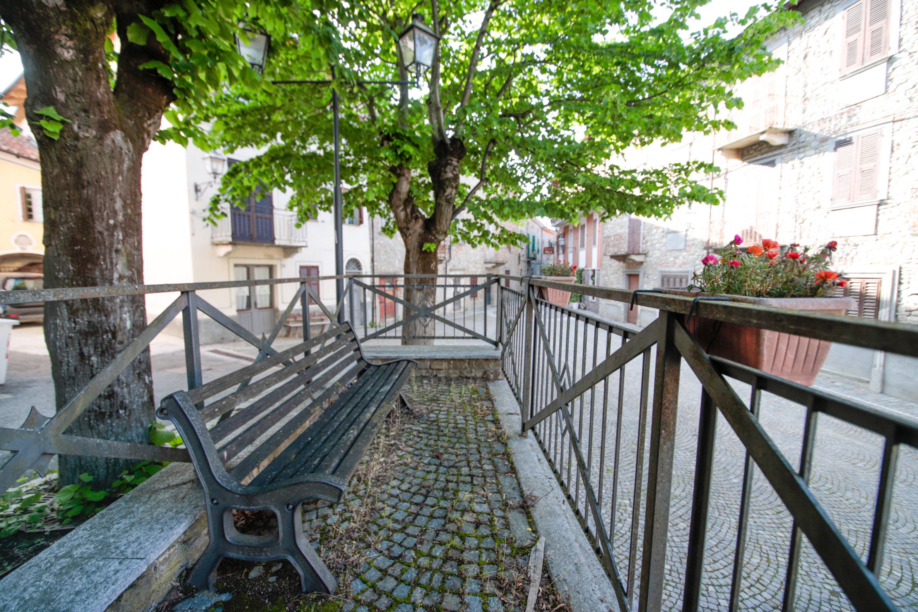 - image: 12