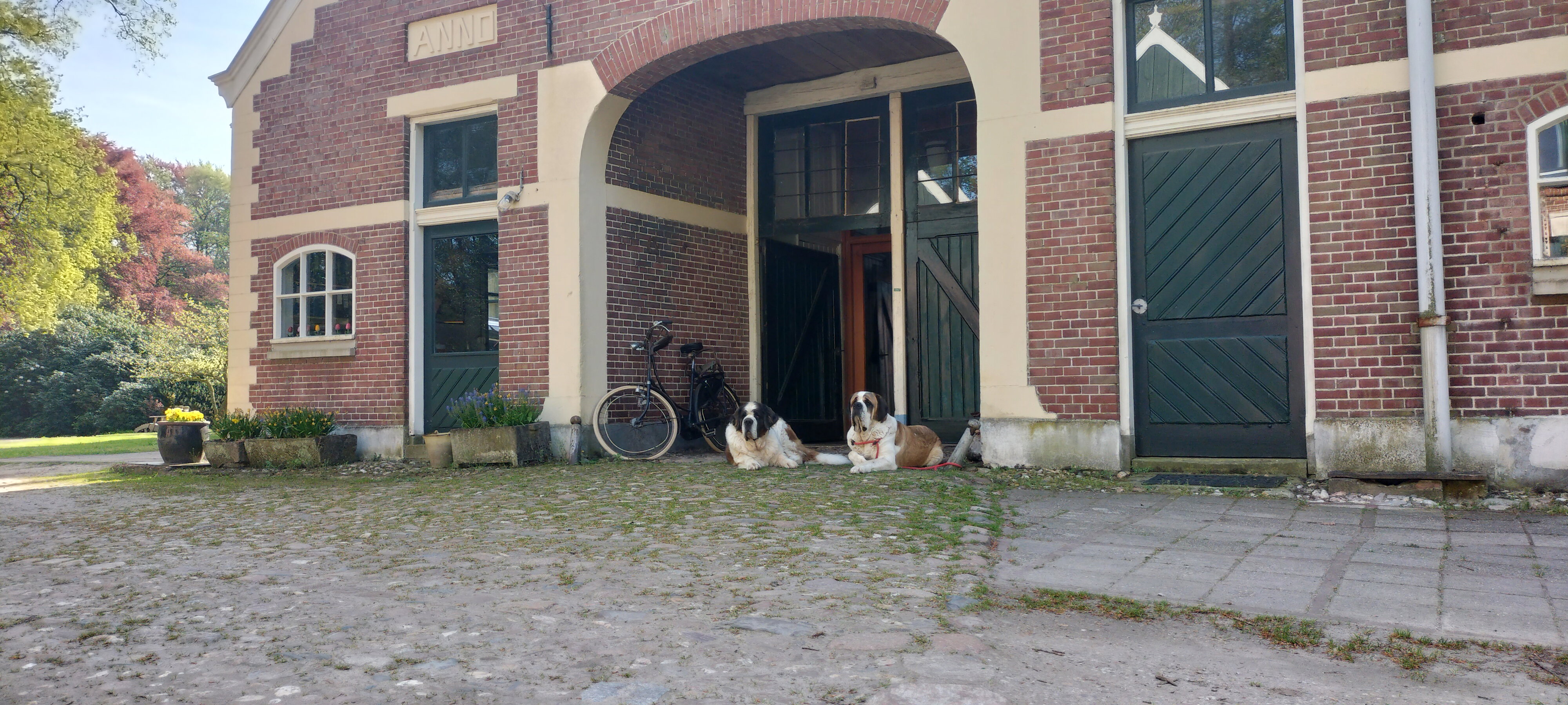 Nature house in Winterswijk Woold
