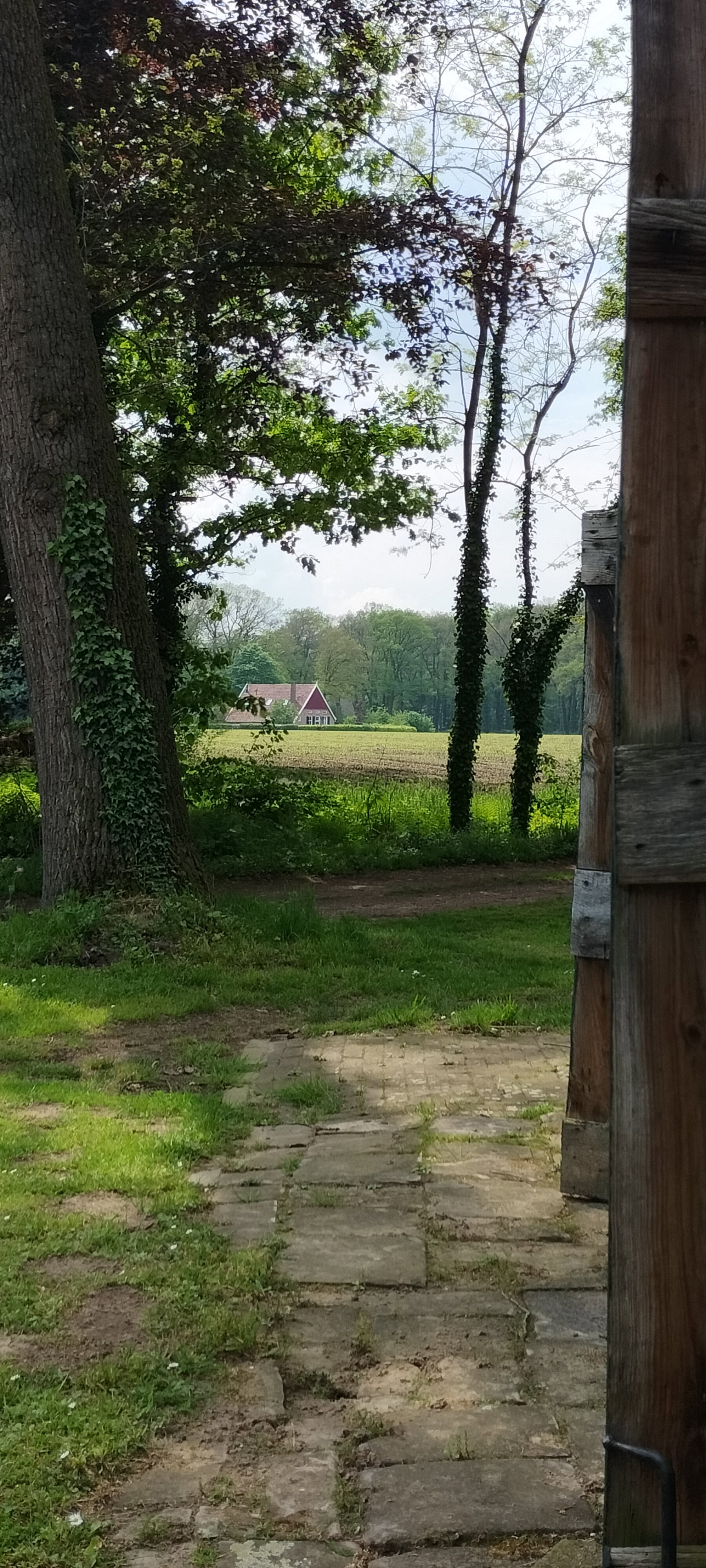 Nature house in Winterswijk Woold