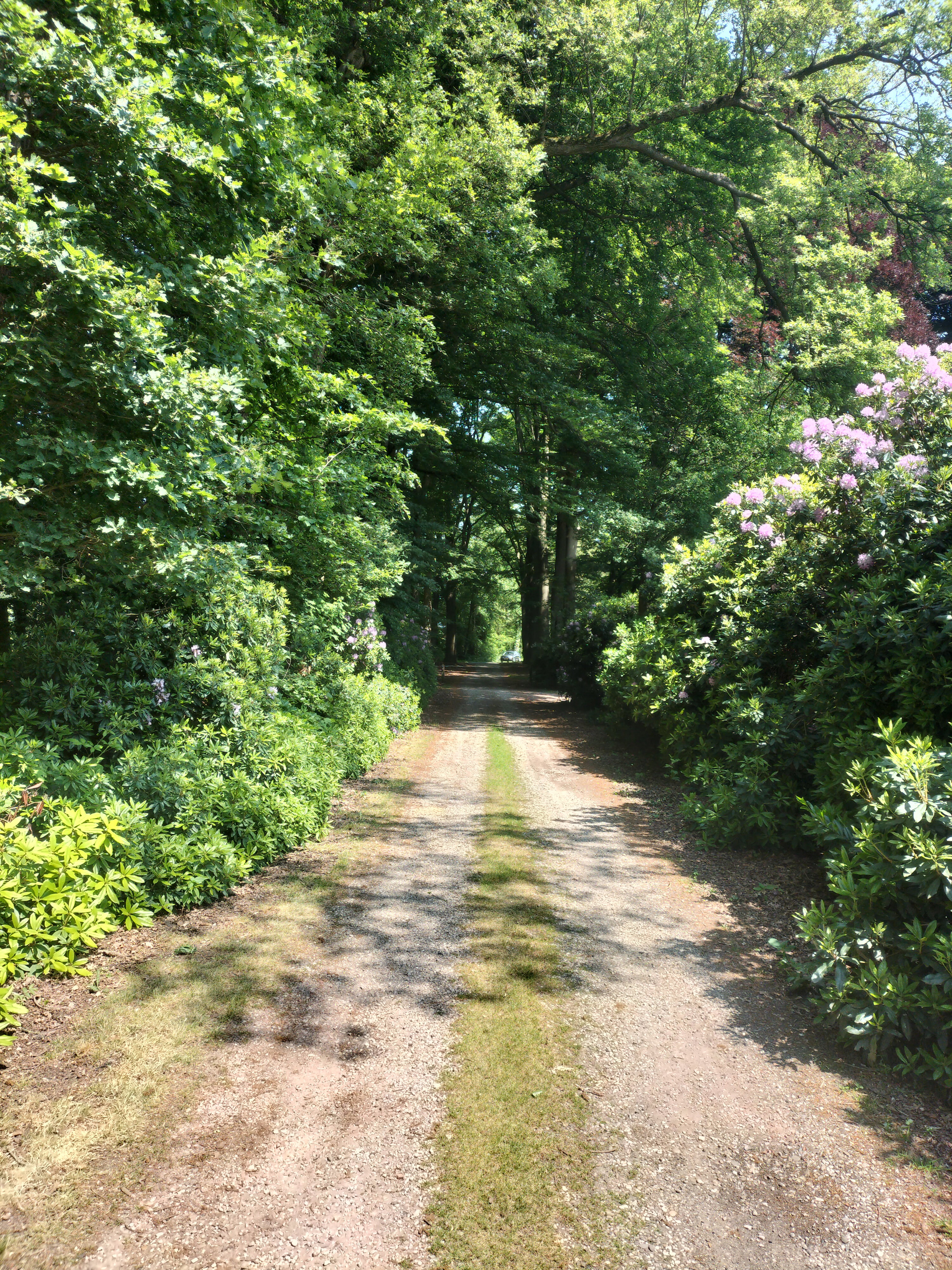 Nature house in Winterswijk Woold
