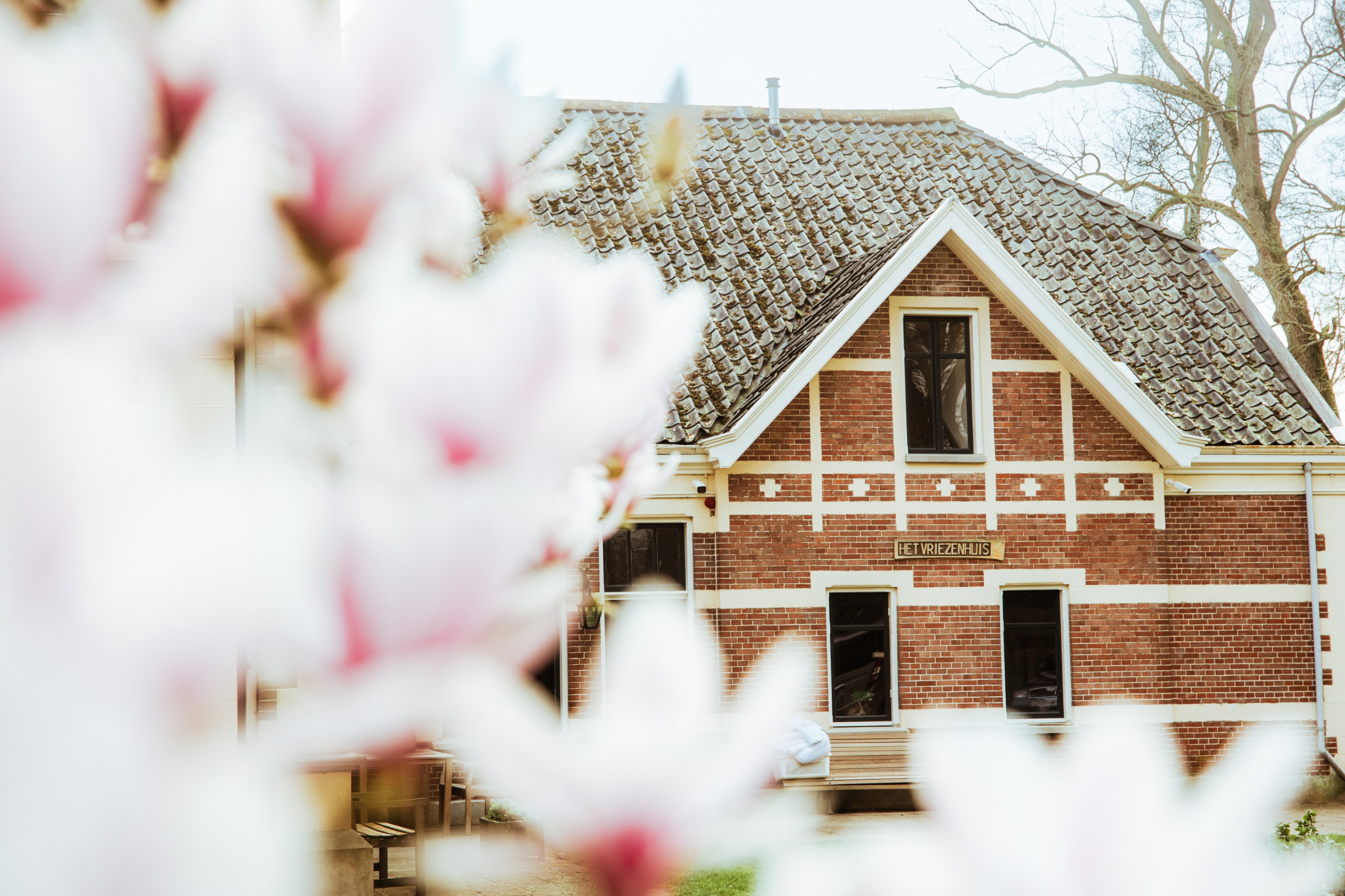 Nature house in Winterswijk Woold