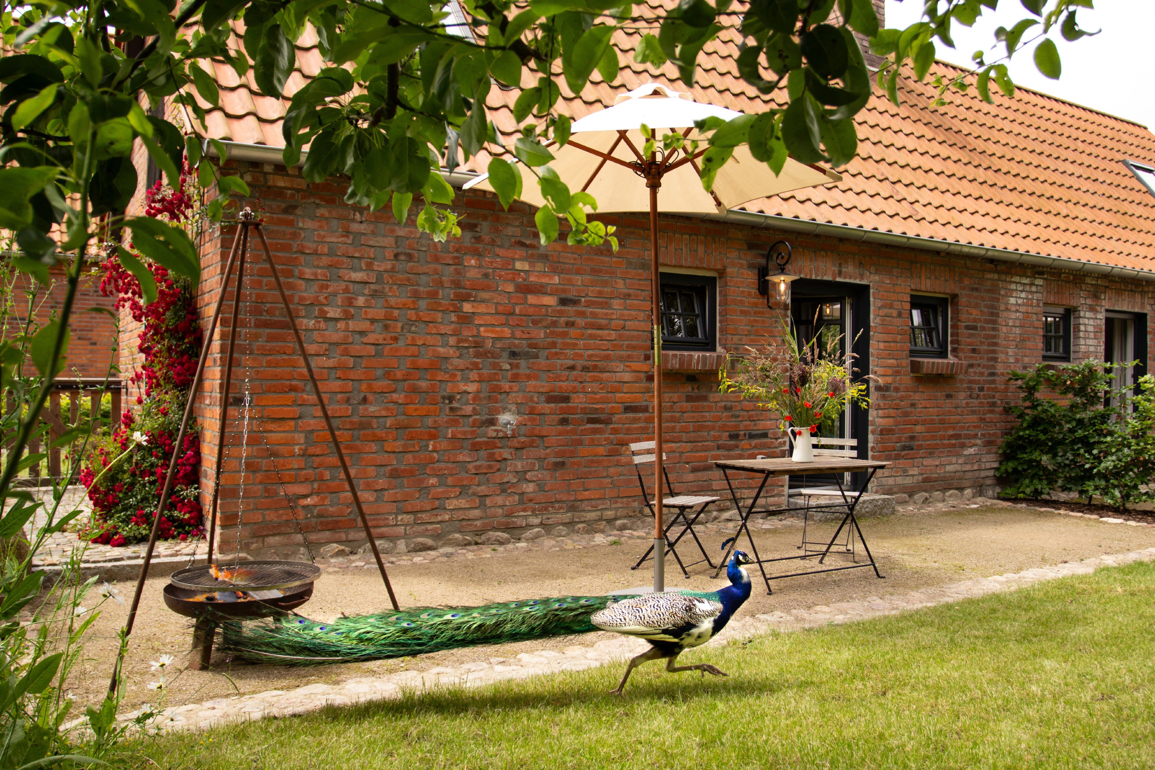 Natuurhuisje in Kloster-Tempzin OT Häven