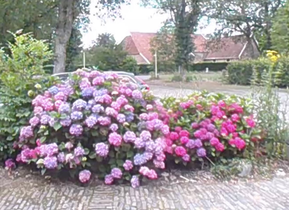 Natuurhuisje in Dwingeloo