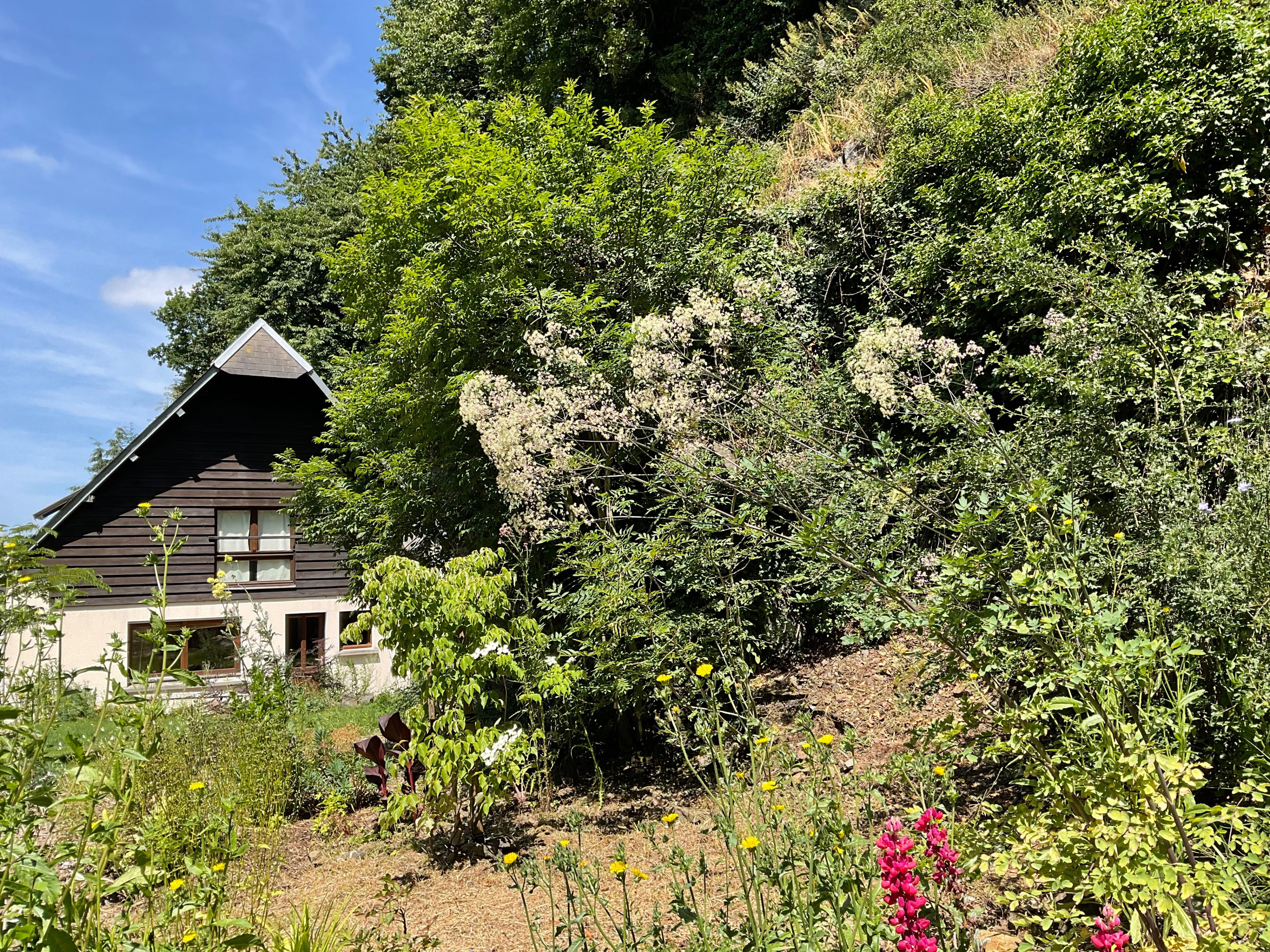 Casa nella natura a Villebaudon