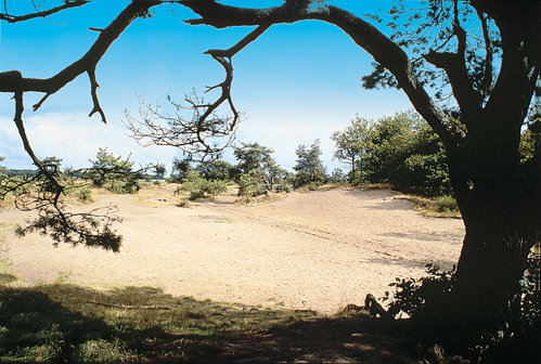- image: 23
