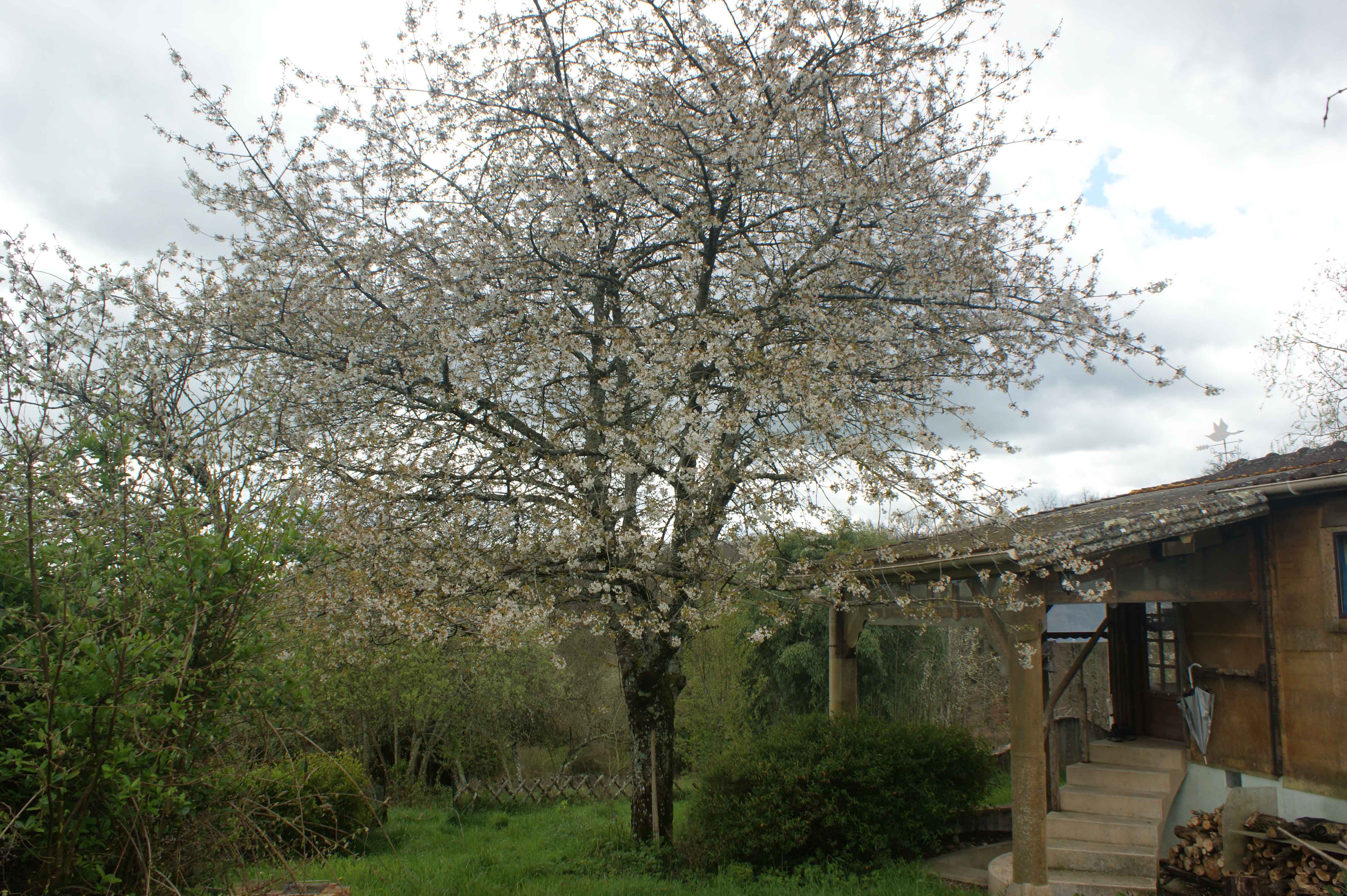 - image: 12