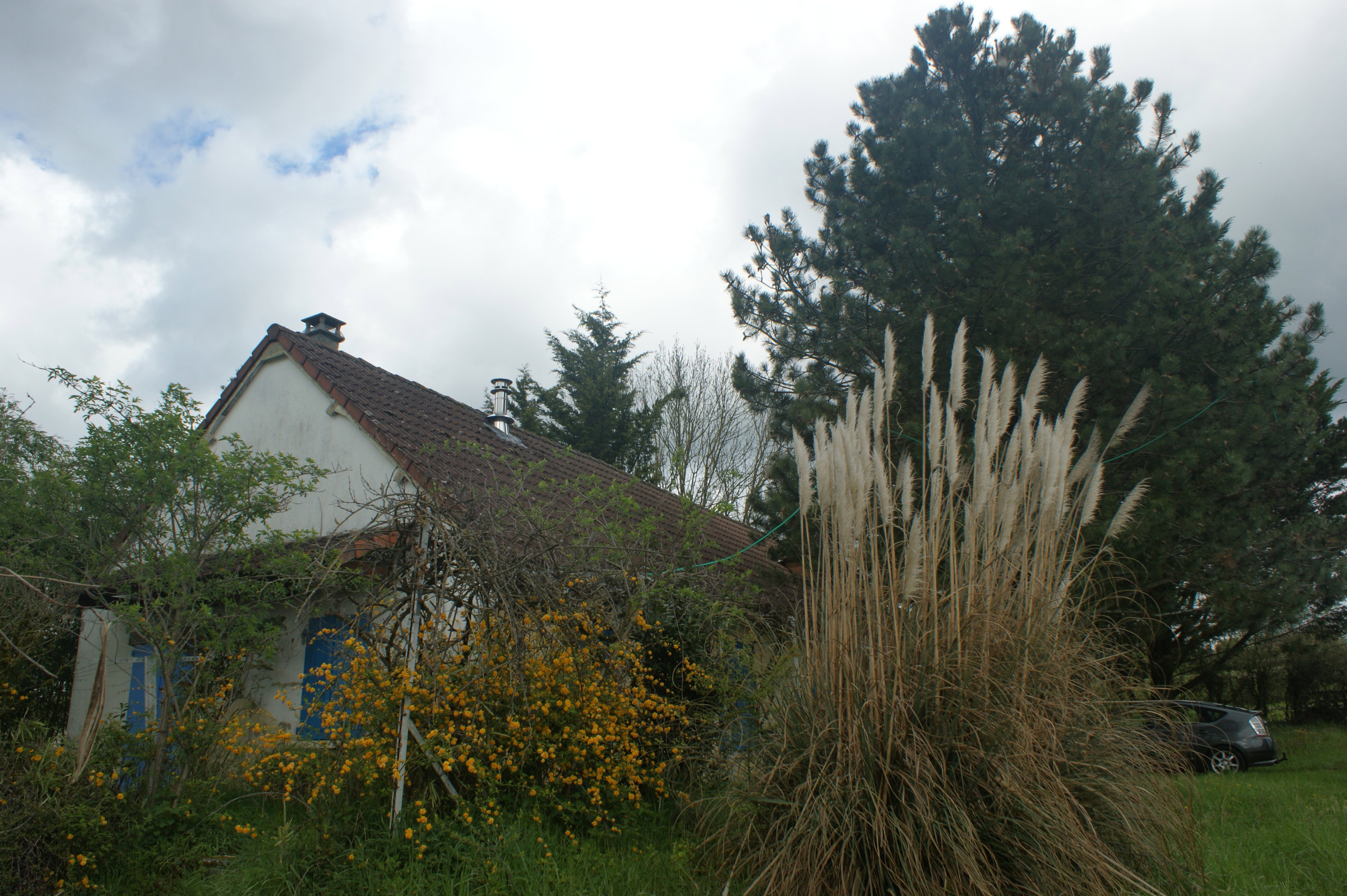 Casa nella natura a Couleuvre