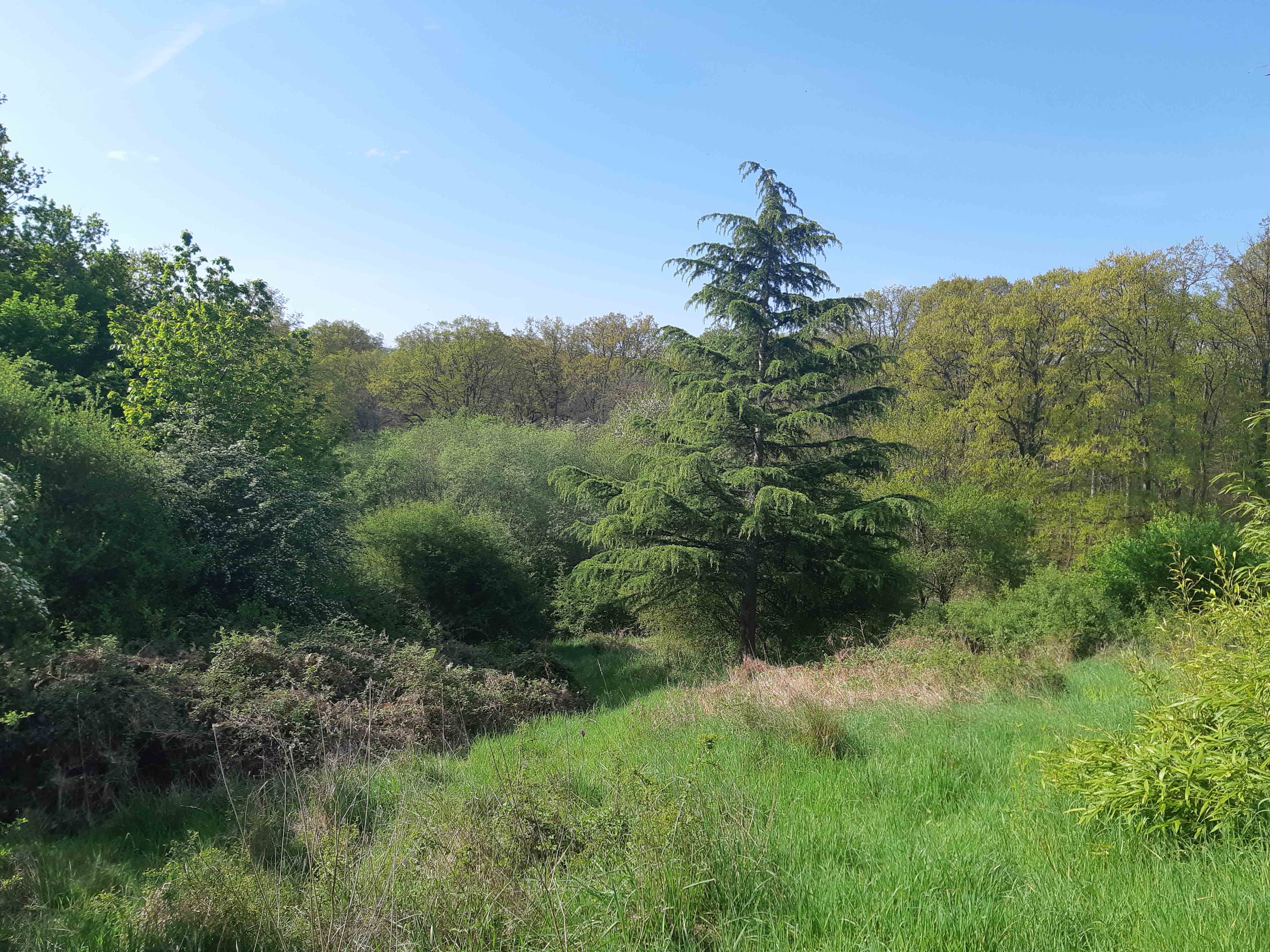 Naturhäuschen in Couleuvre