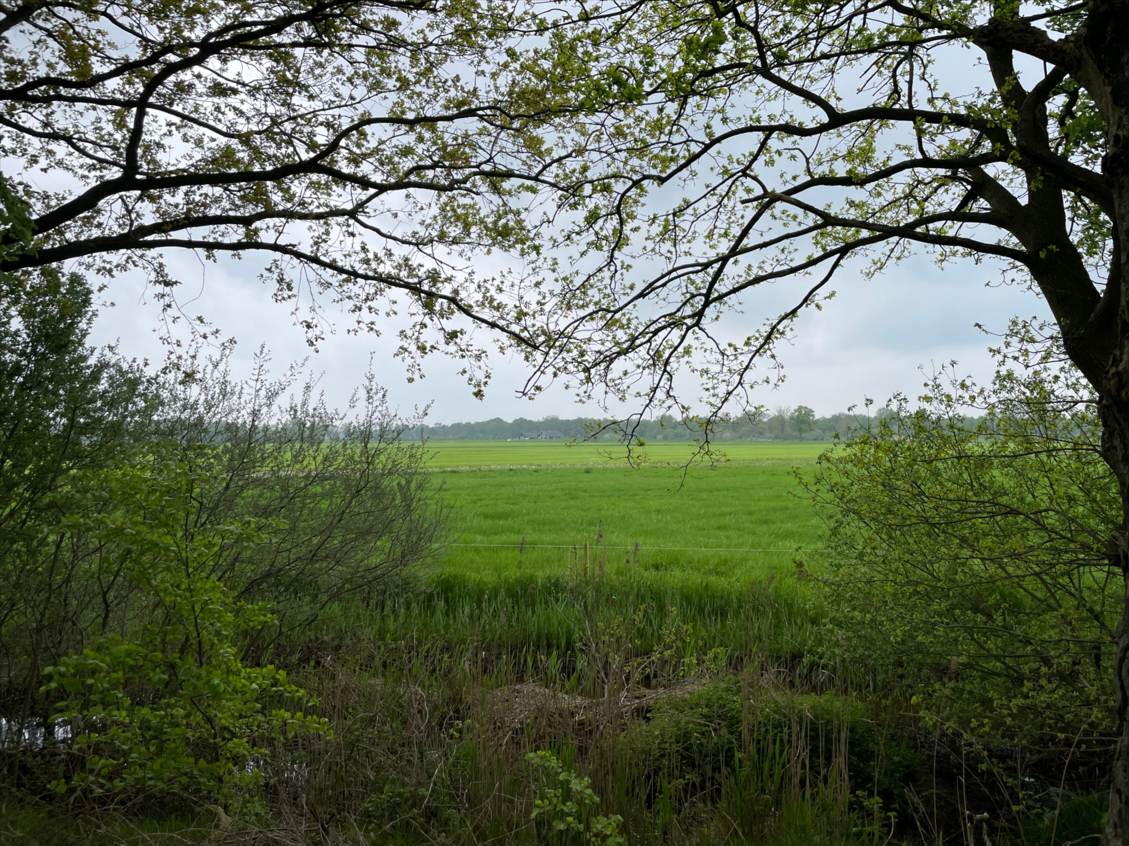 - image: 21