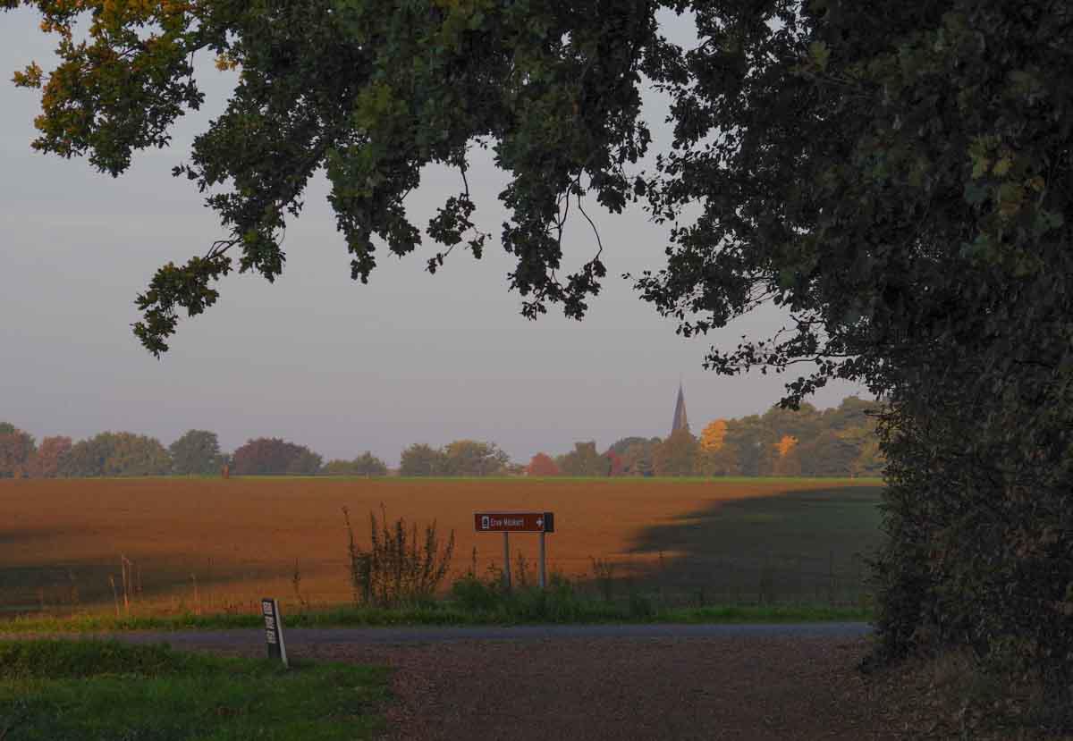 Natuurhuisje in Geesteren