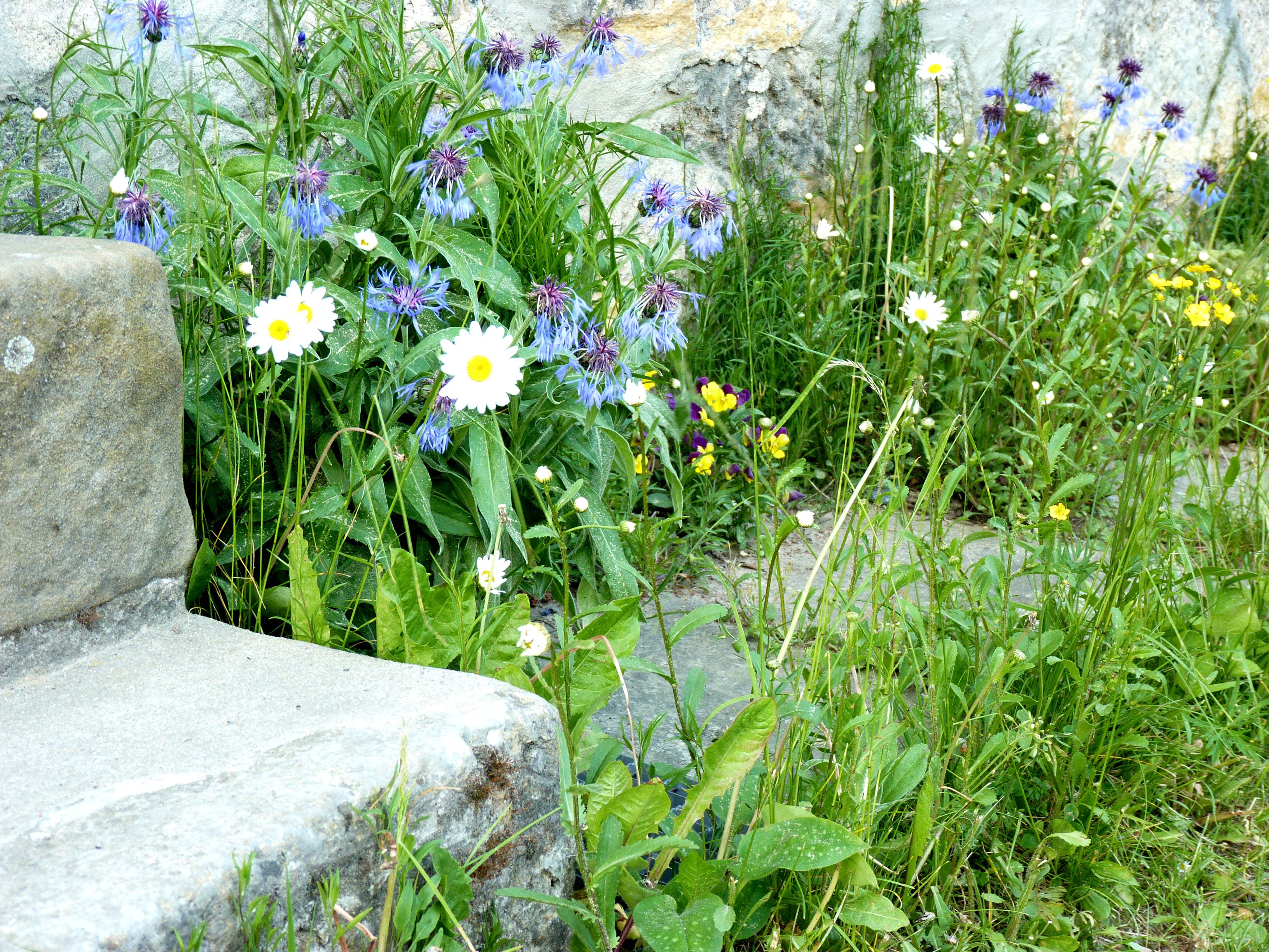 Natuurhuisje in Hinterhermsdorf