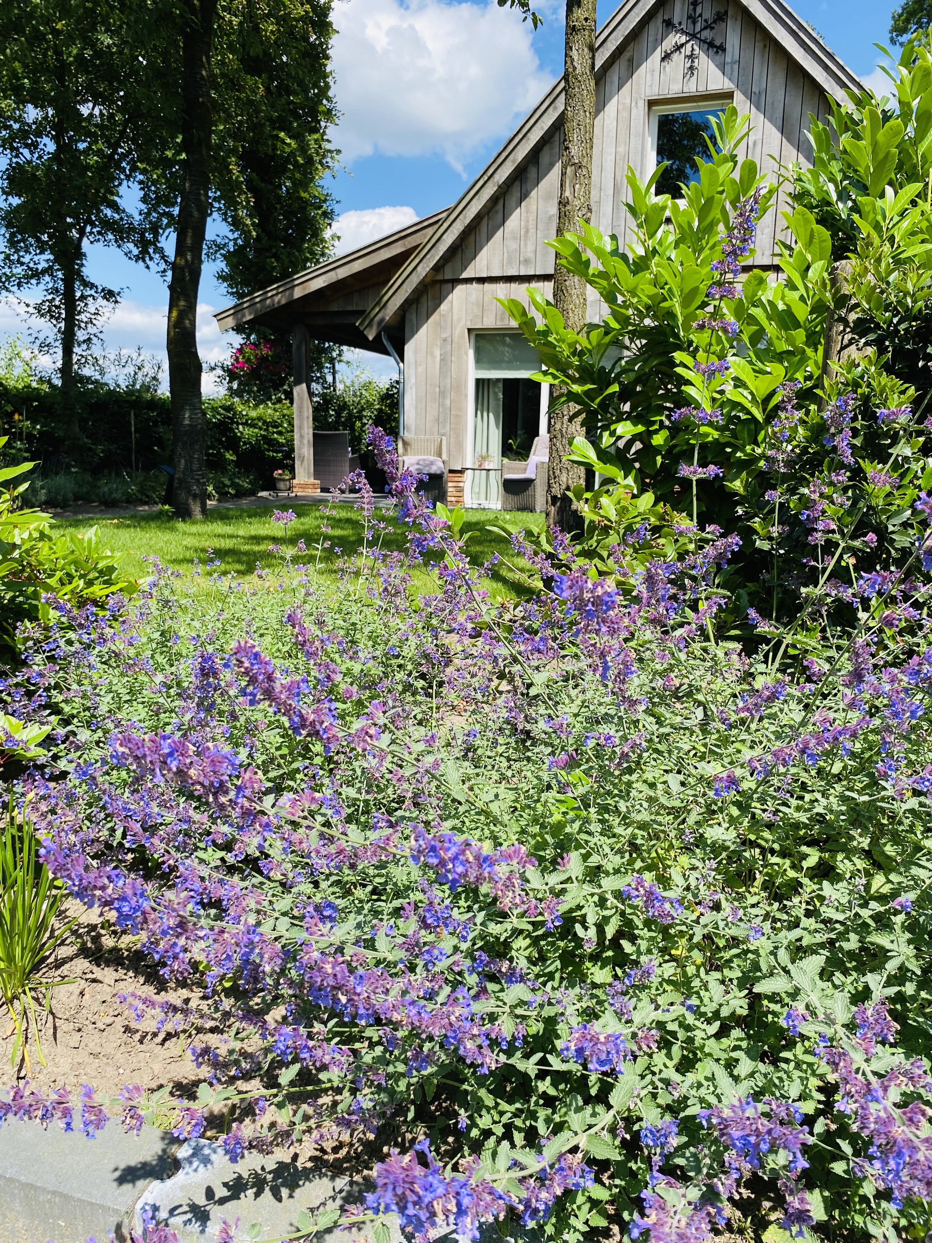 Casa nella natura a Overdinkel