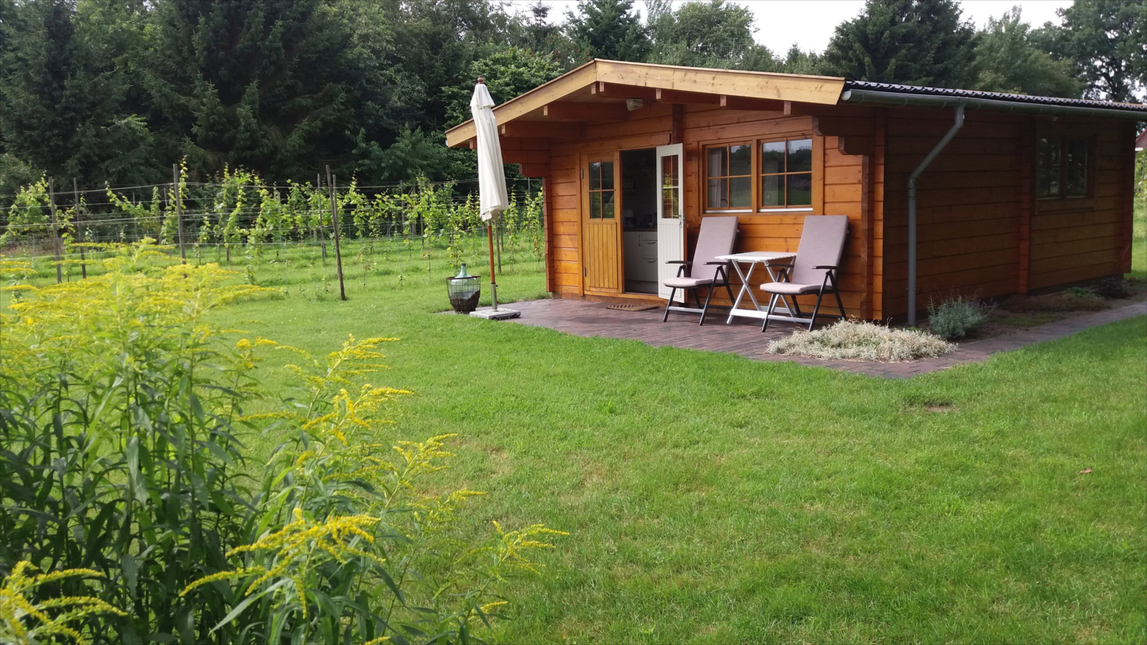Casa nella natura a Sellingen