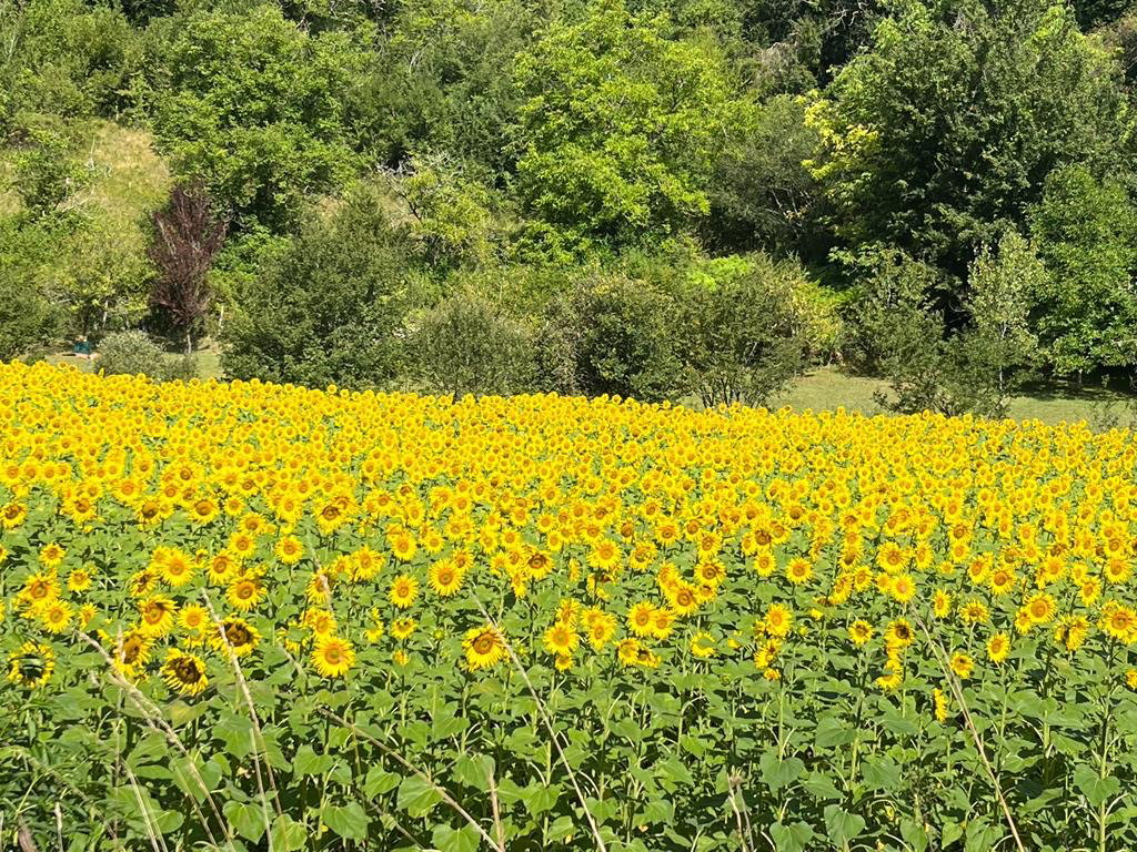 Natuurhuisje in Pezuls