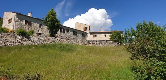 - image: 5