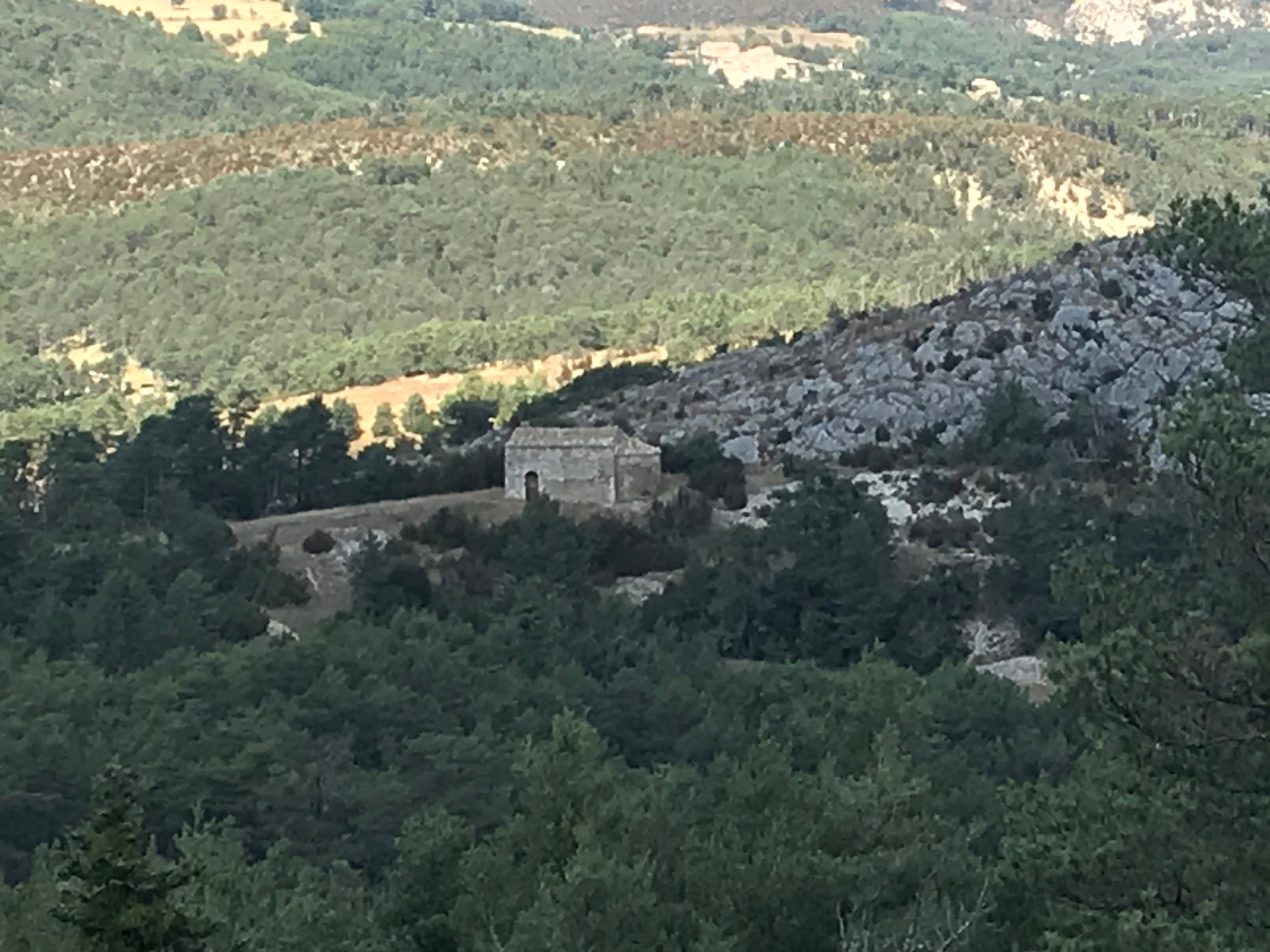 - image: 25