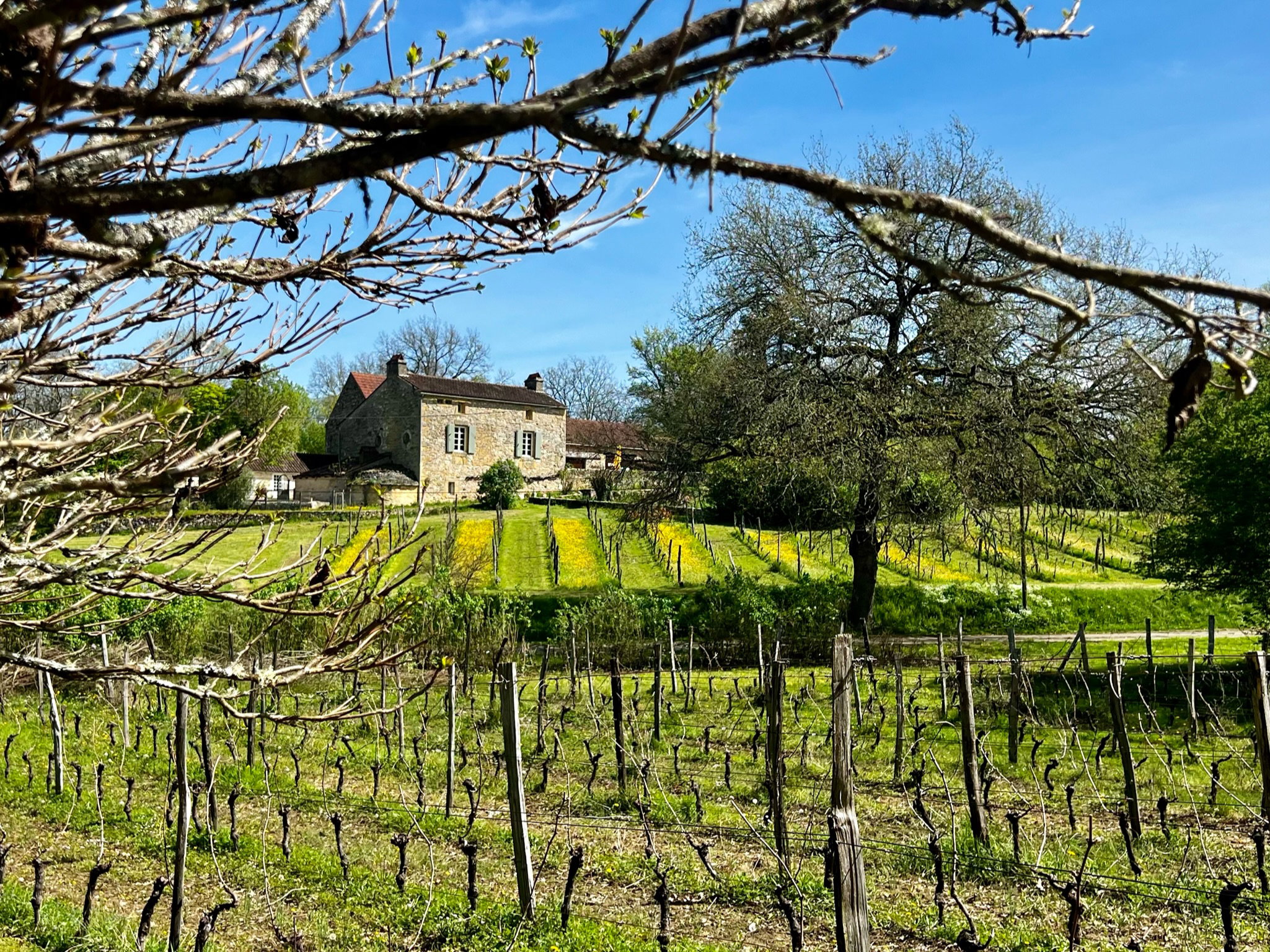 Natuurhuisje in Veyrines-de-Domme