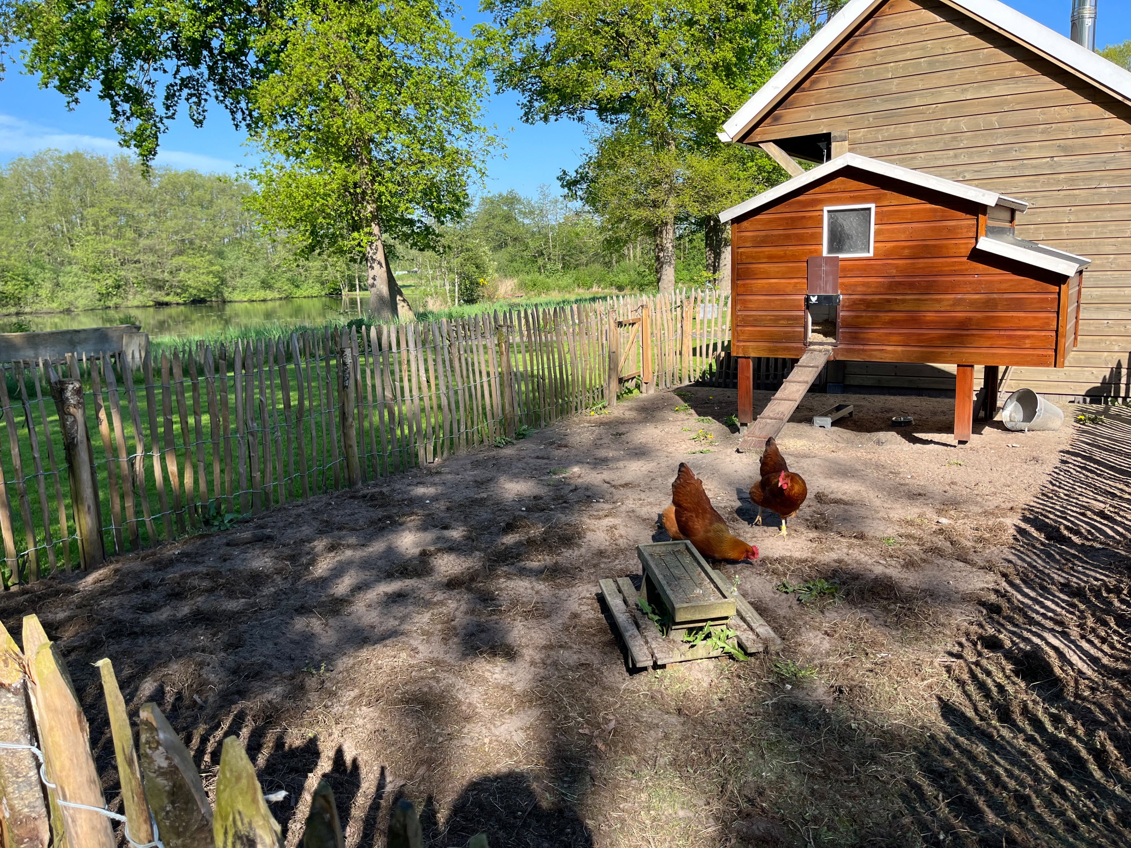 Natuurhuisje in Berghuizen