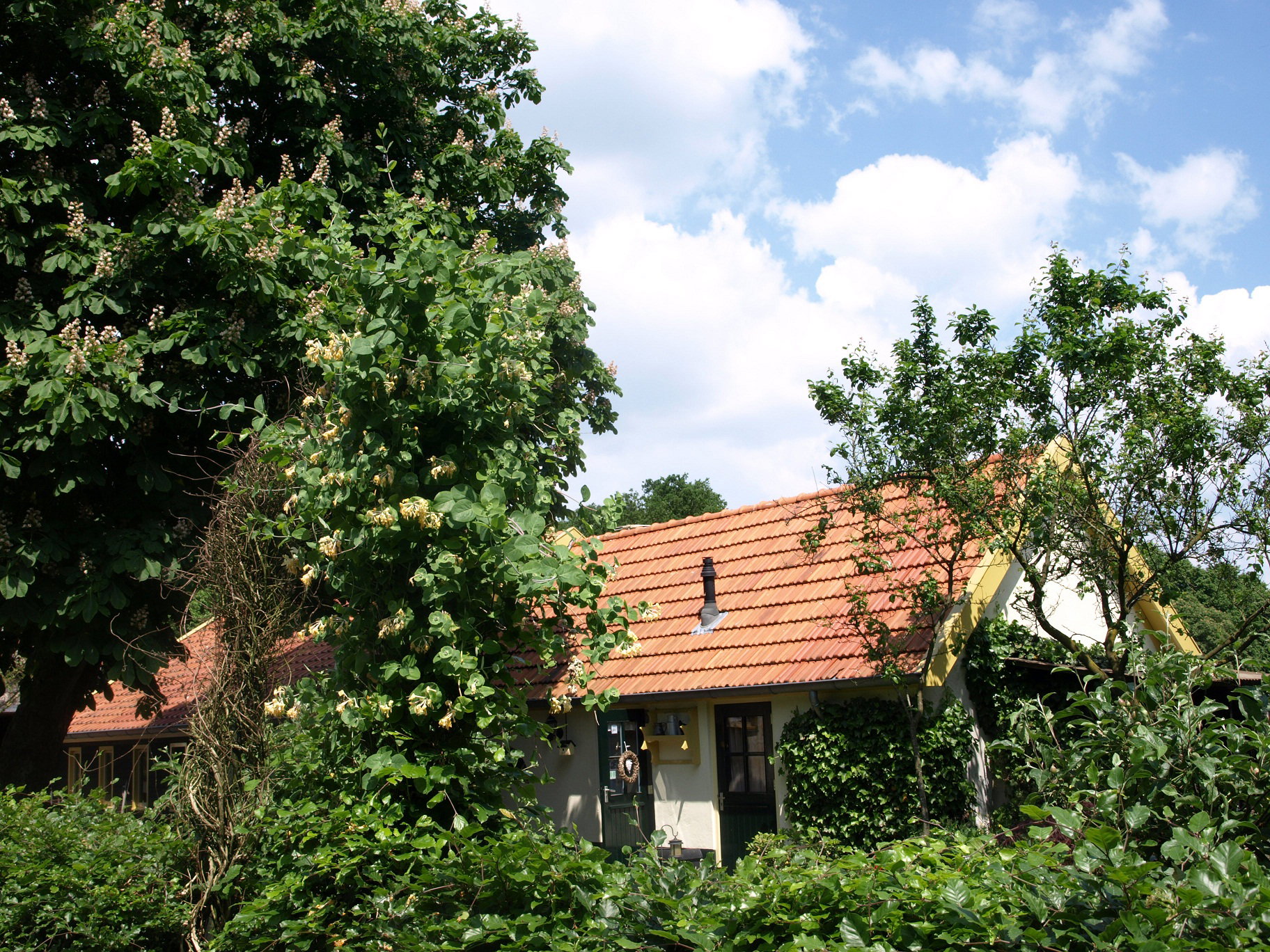 Naturhäuschen in Wezep
