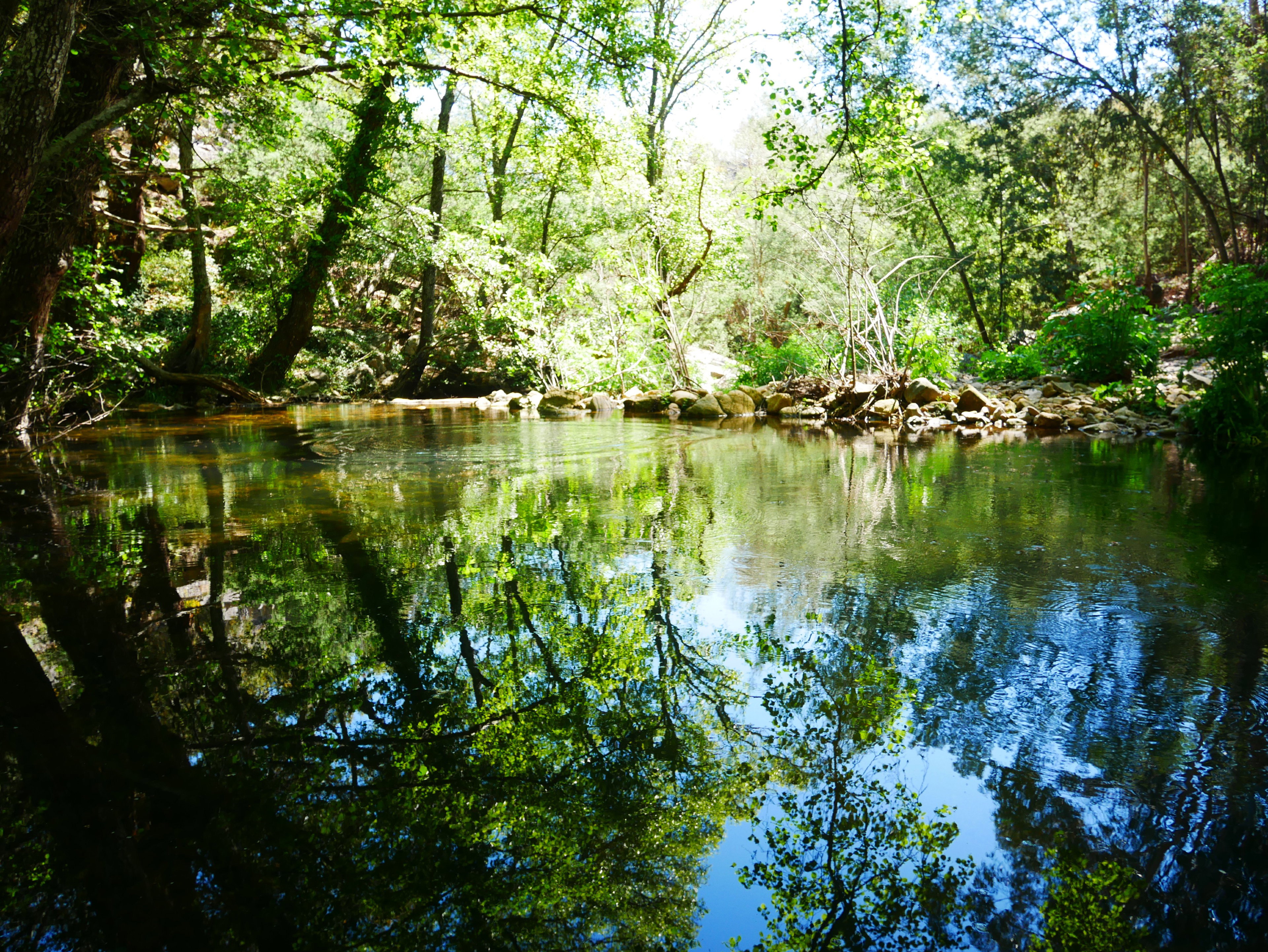 Natuurhuisje in Santo Antonio Das Areias