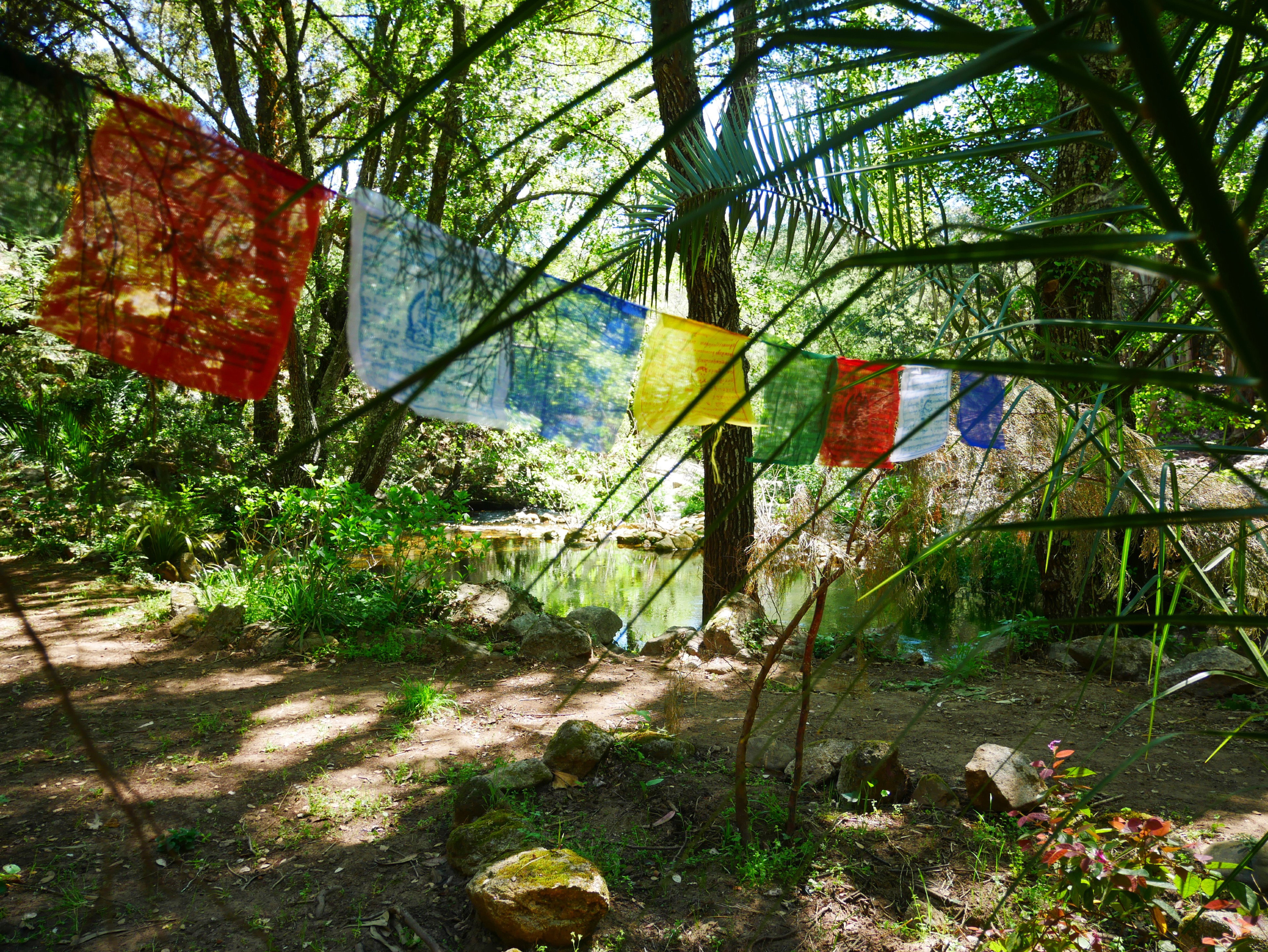 - image: 12