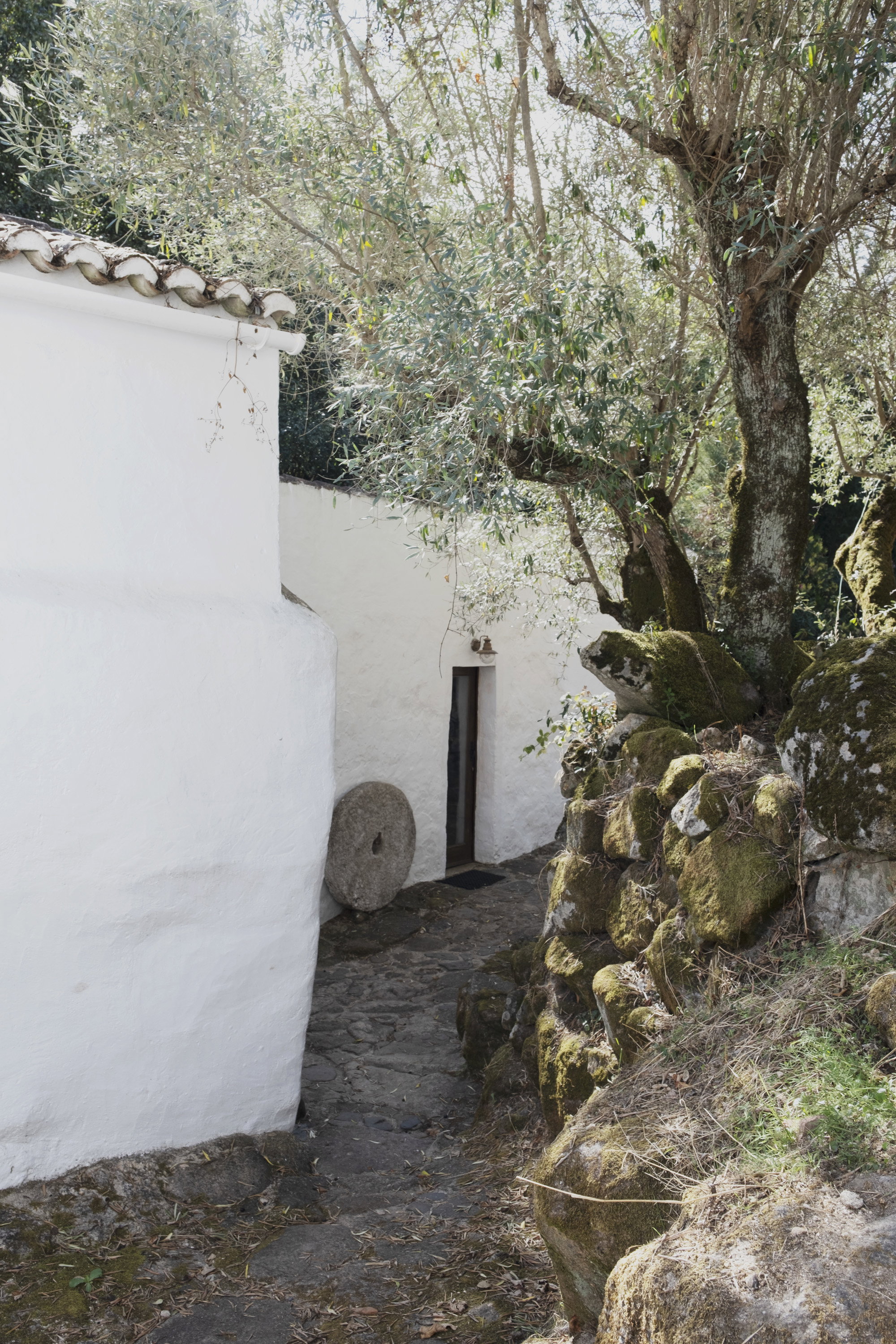 Natuurhuisje in Santo Antonio Das Areias