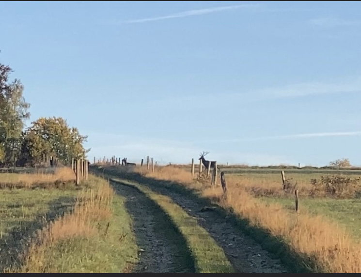Casa nella natura a Les Tailles - Houffalize