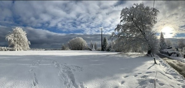 Casa nella natura a Les Tailles - Houffalize