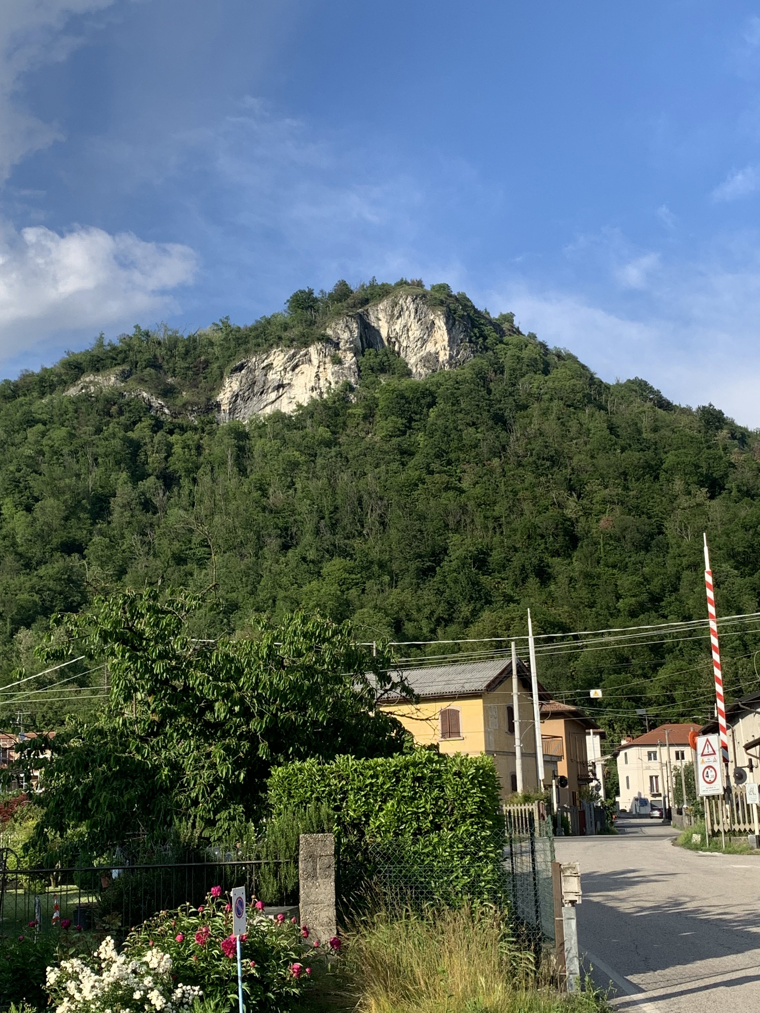 - image: 21