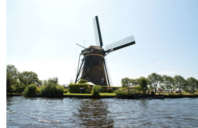 - image: 12
