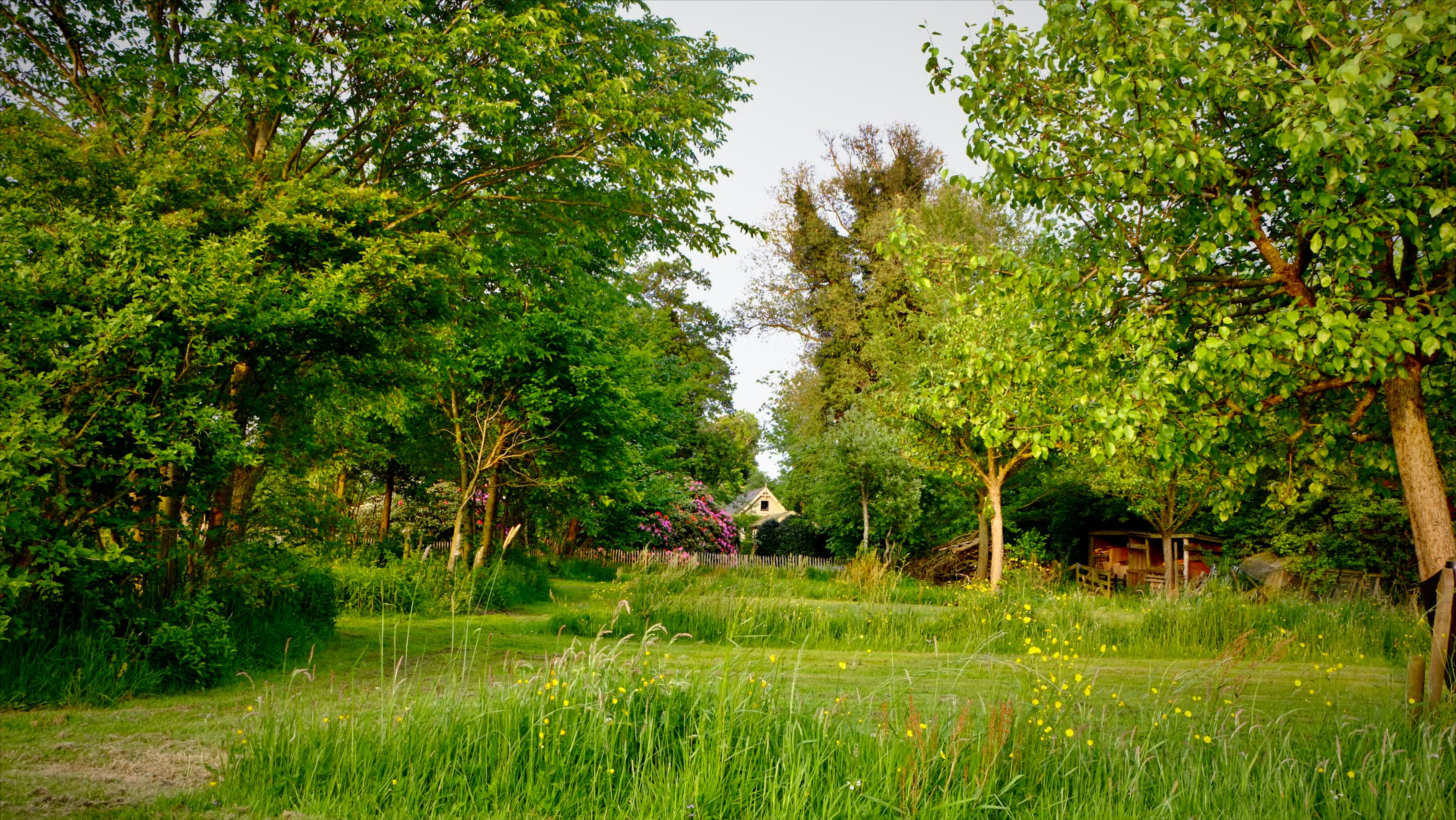 Natuurhuisje in Heeg