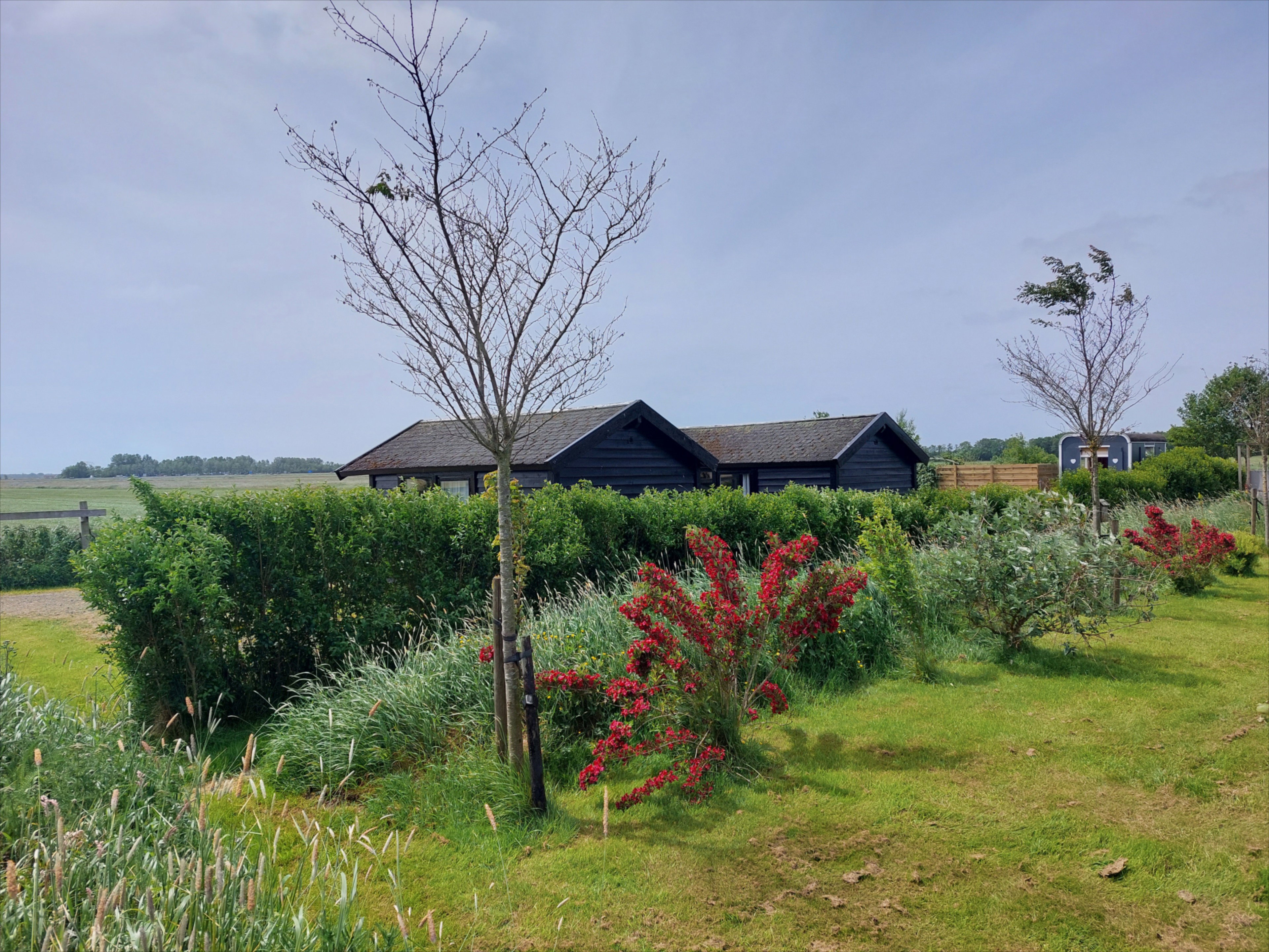 Naturhäuschen in Oudehaske