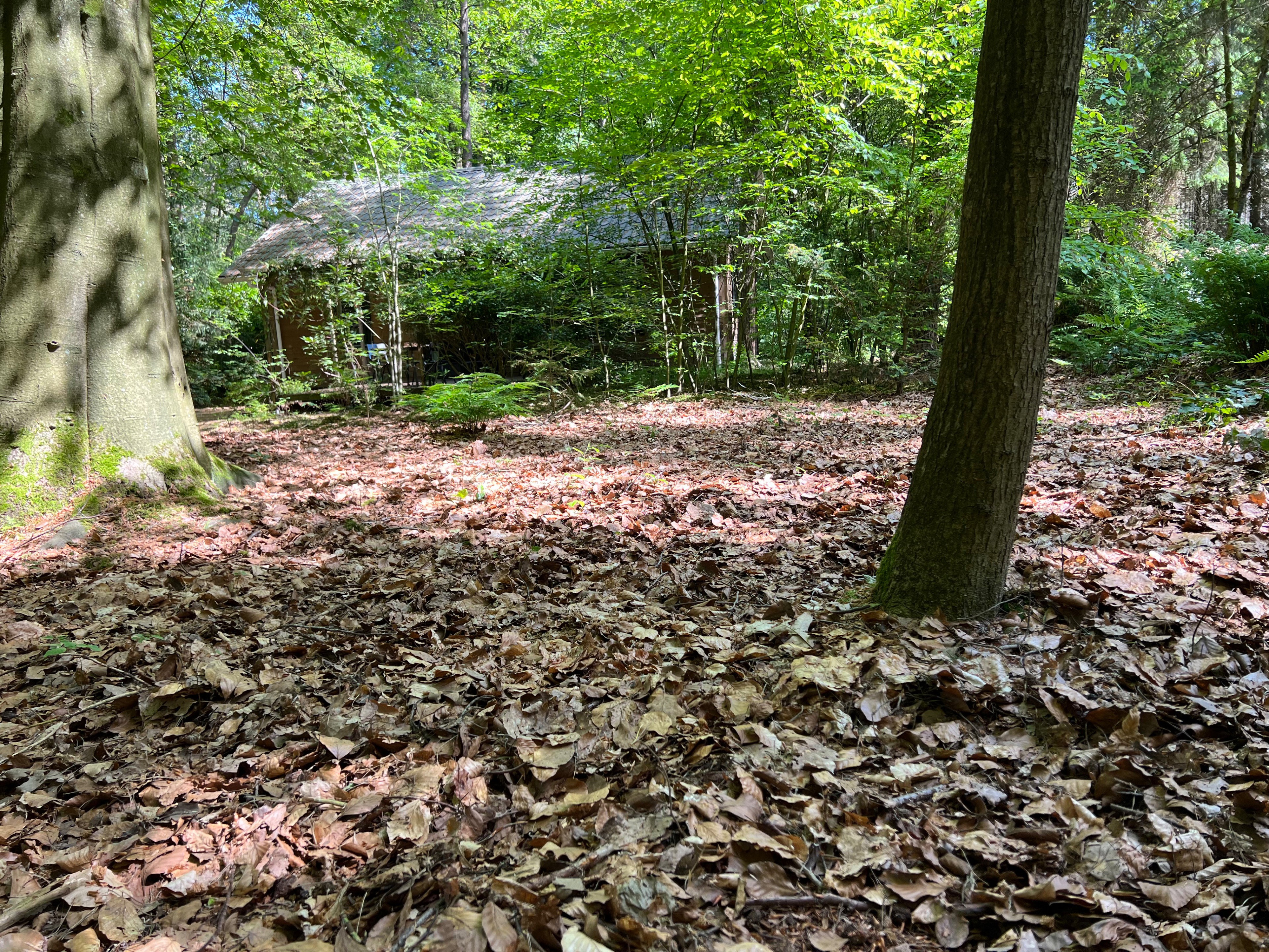 Naturhäuschen in Norg