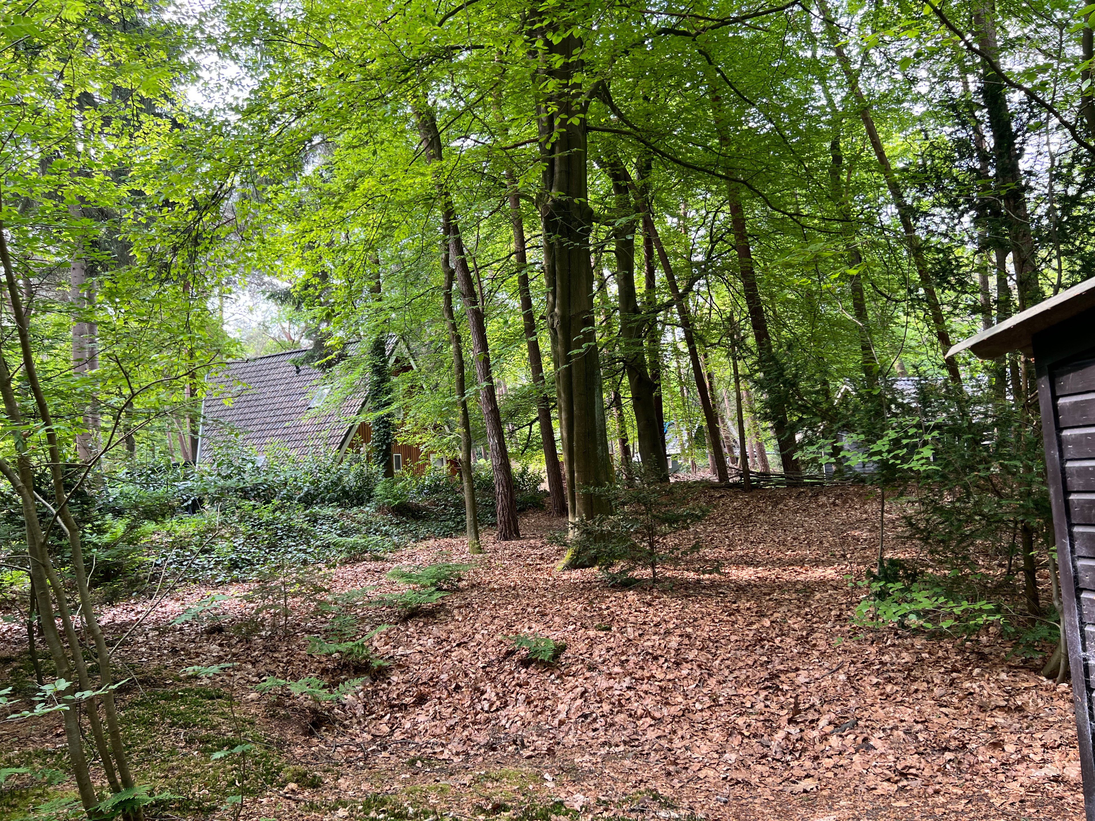 Naturhäuschen in Norg