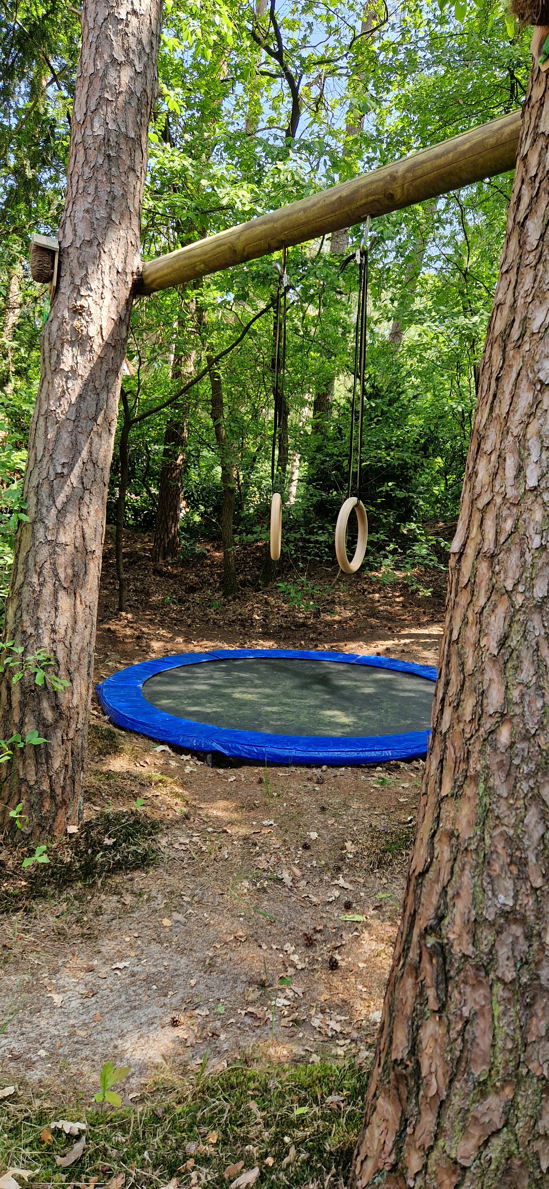 Natuurhuisje in Ommen