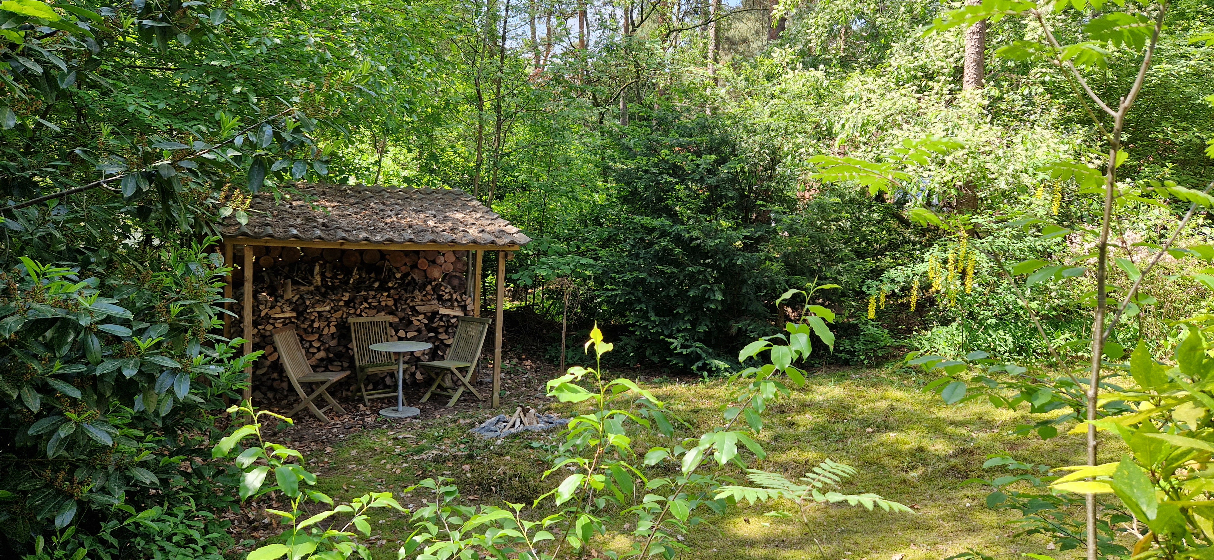 Natuurhuisje in Ommen