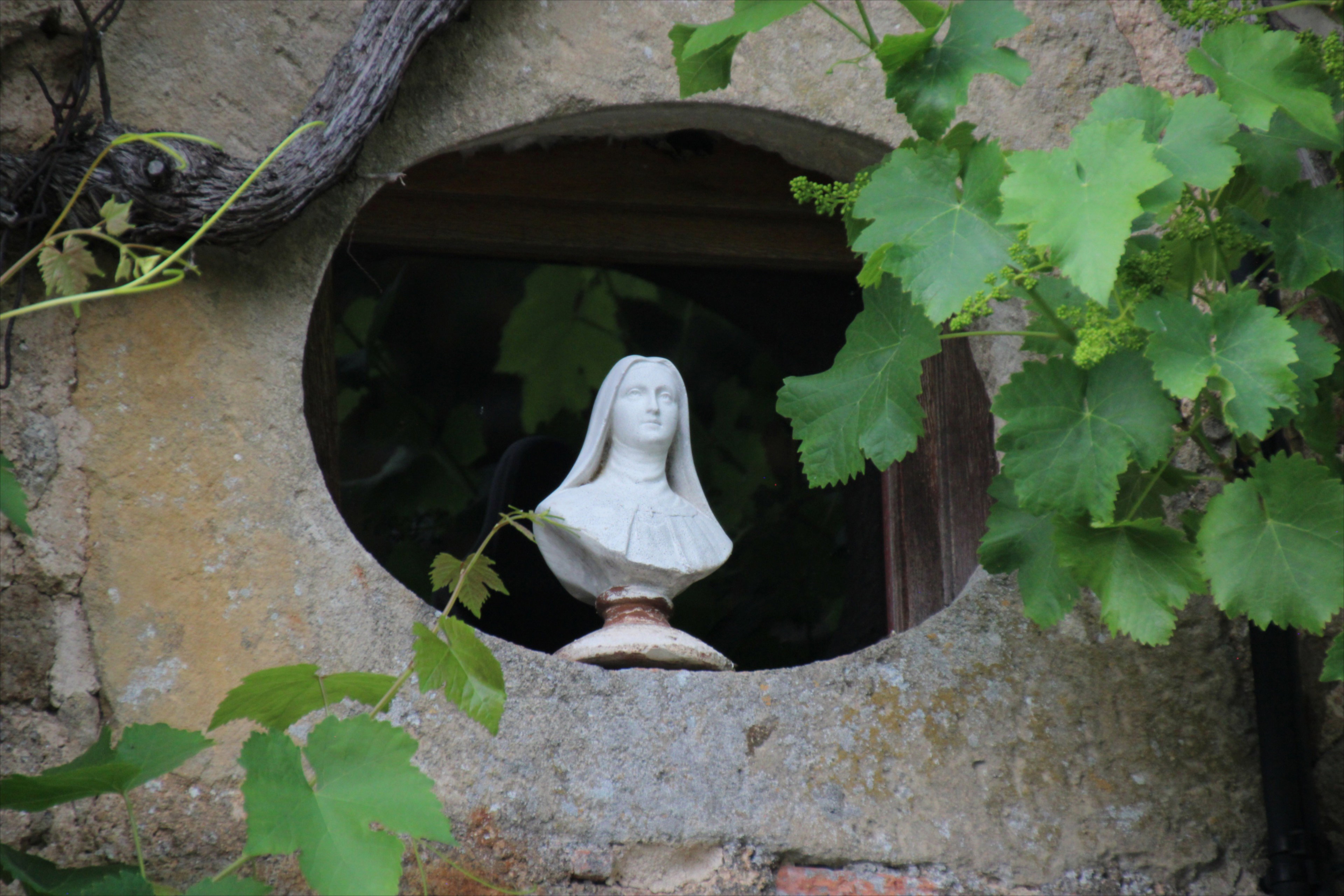 - image: 19