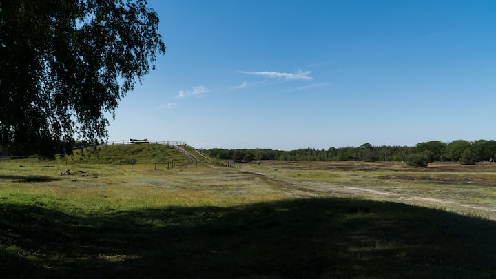 - image: 26