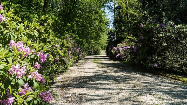 Natuurhuisje in Sint Hubert