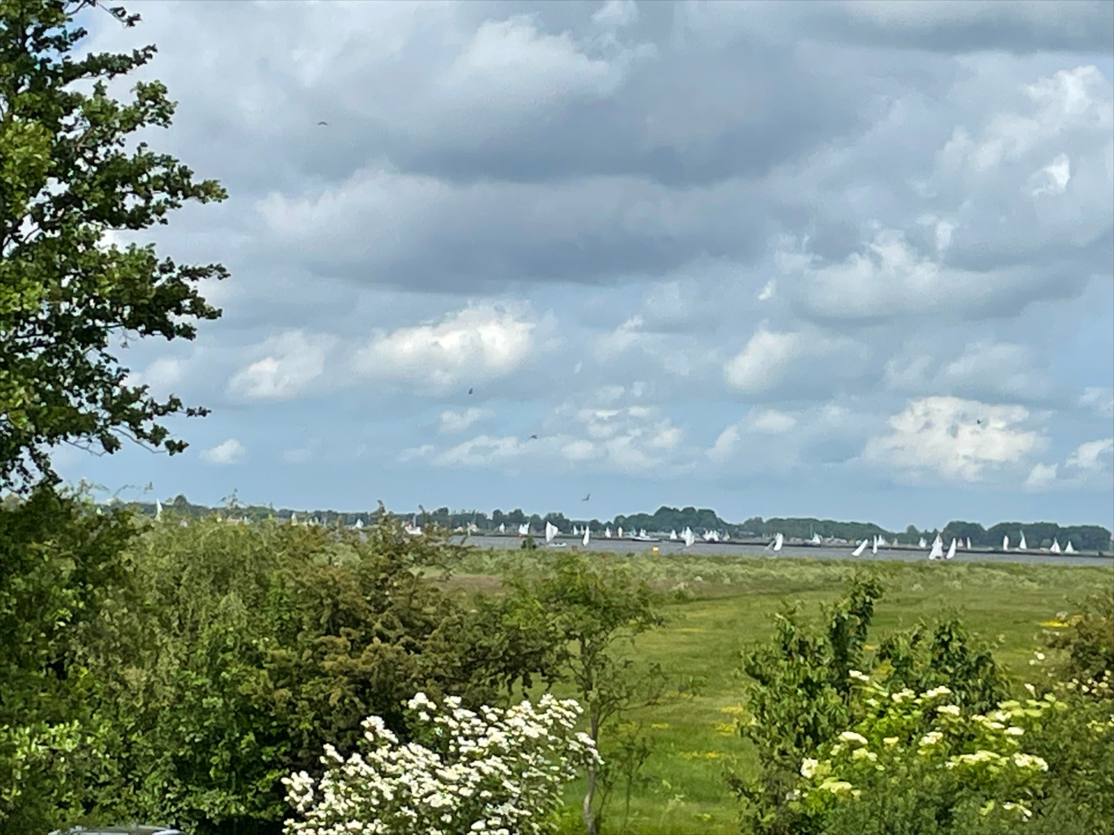Naturhäuschen in Goingarijp