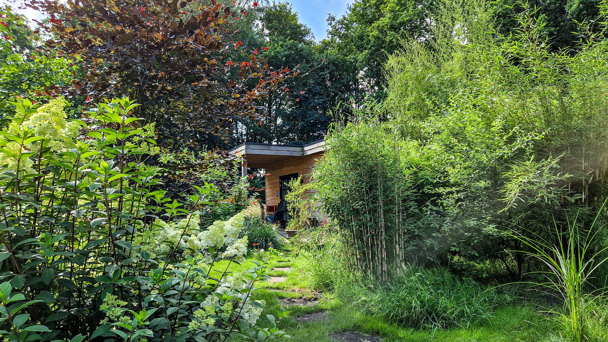 Natuurhuisje in Bellingwolde