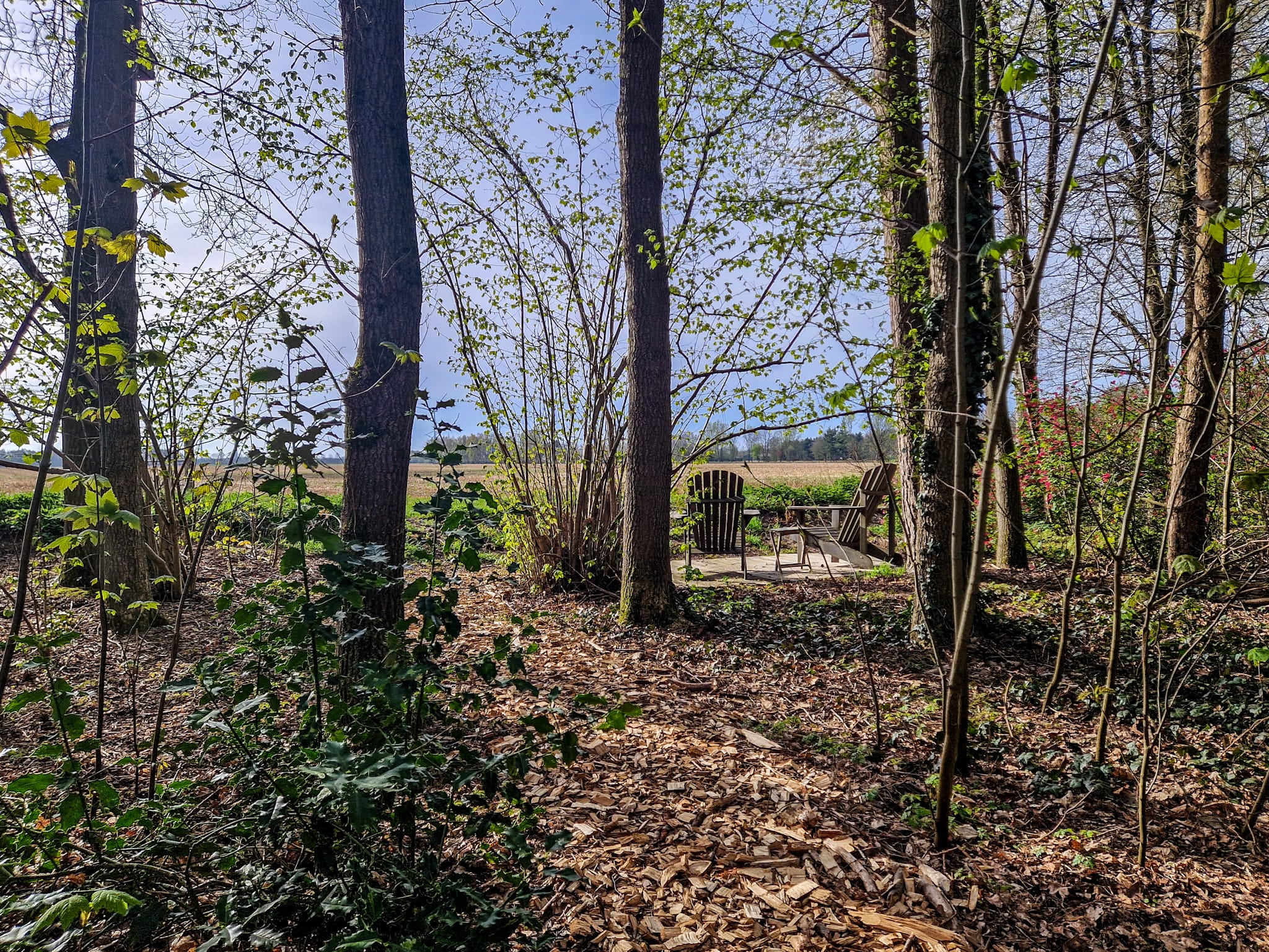 Natuurhuisje in Bellingwolde