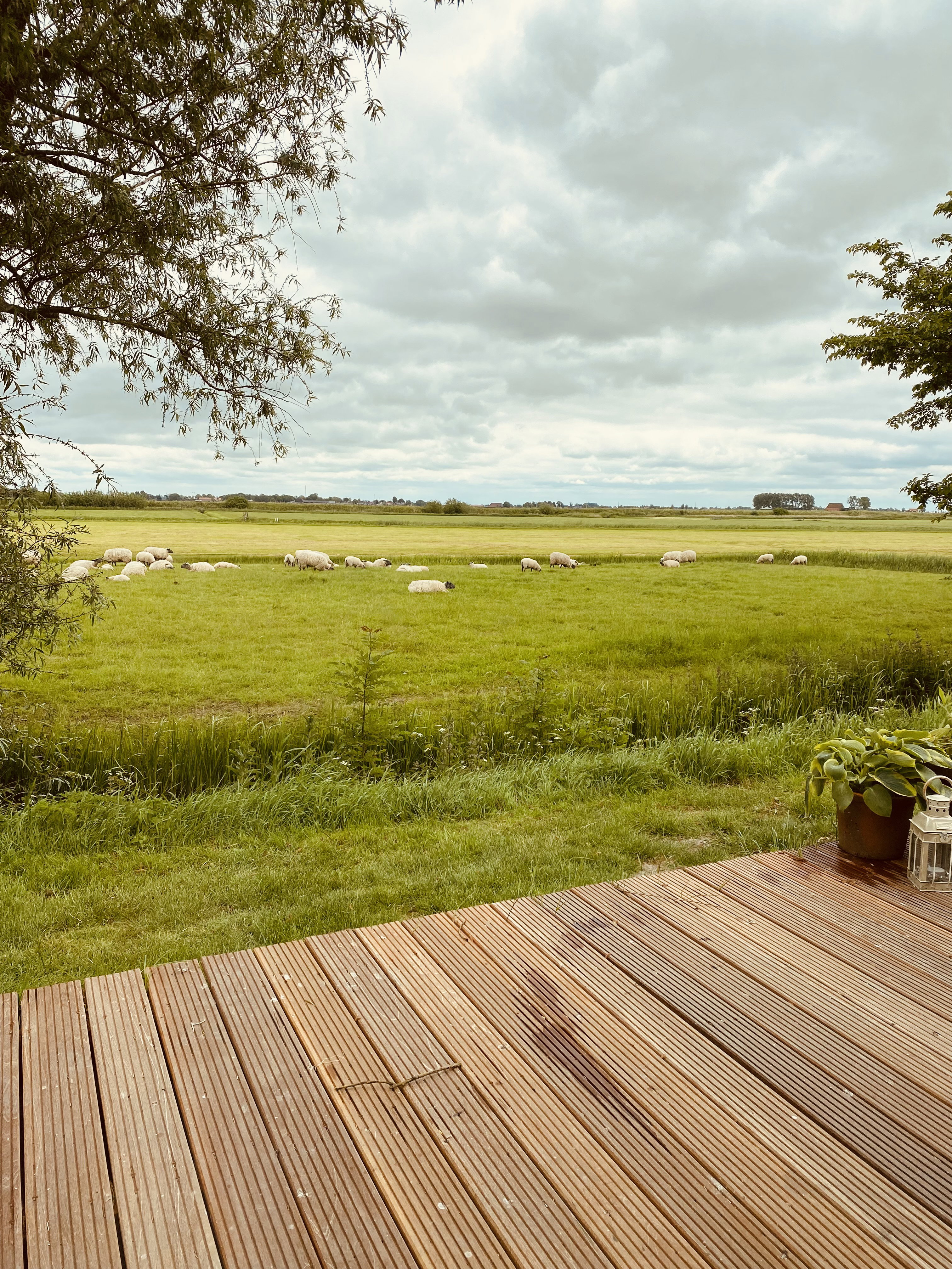 Natuurhuisje in Mantgum