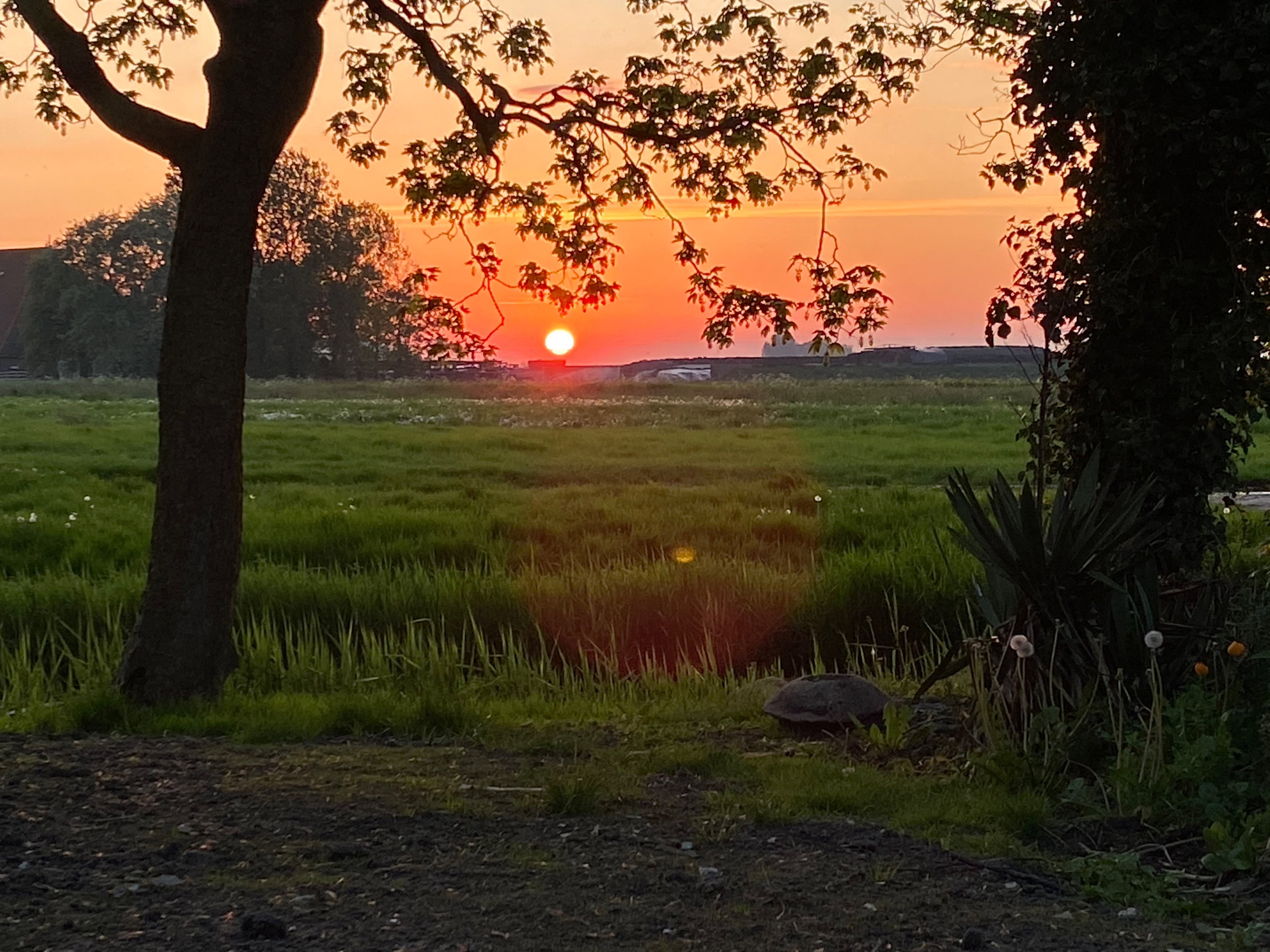 Natuurhuisje in Mantgum