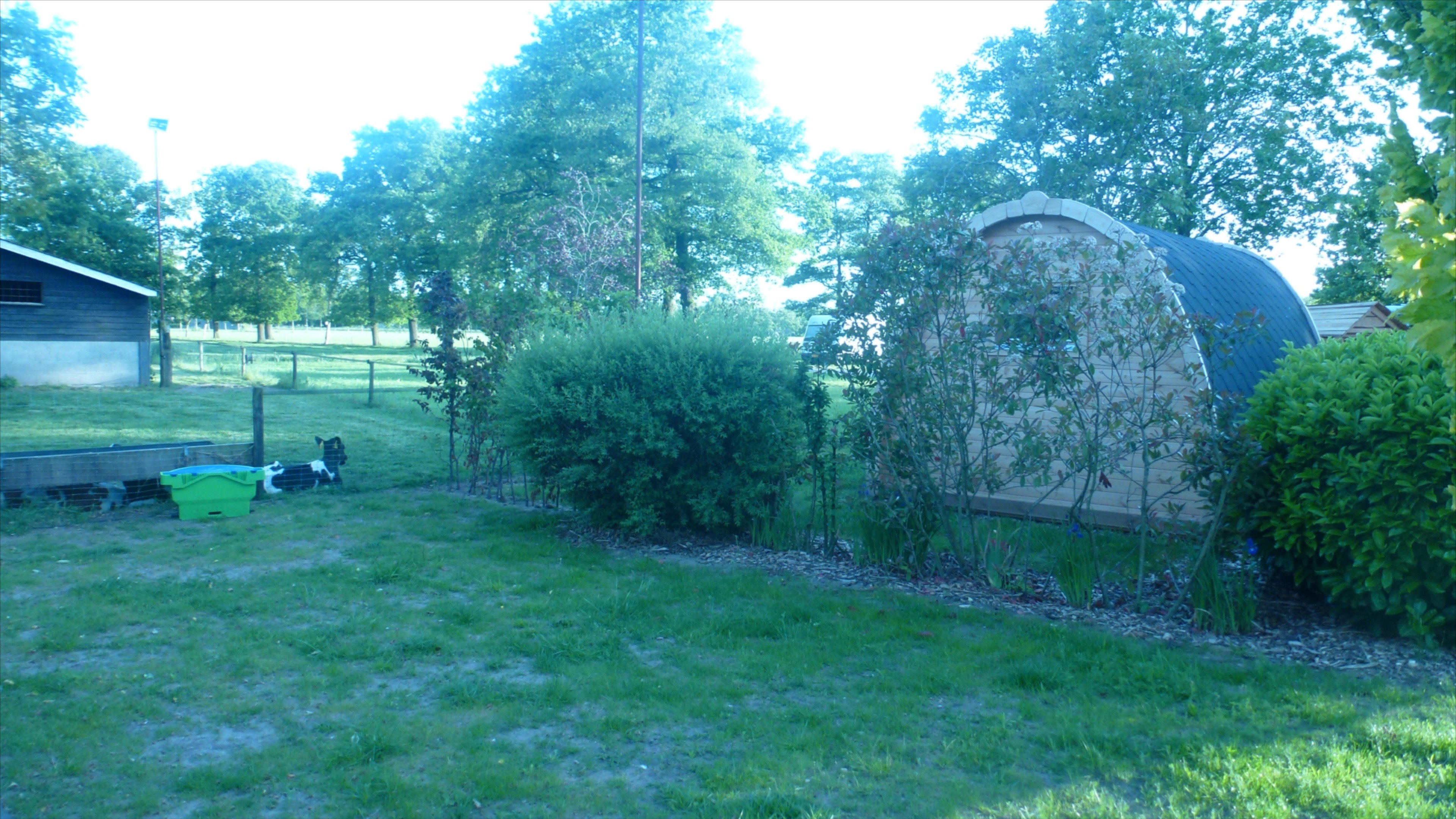 - image: 13