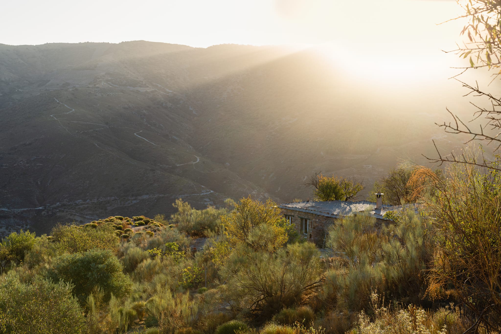Natuurhuisje in Sierra Contraviesa
