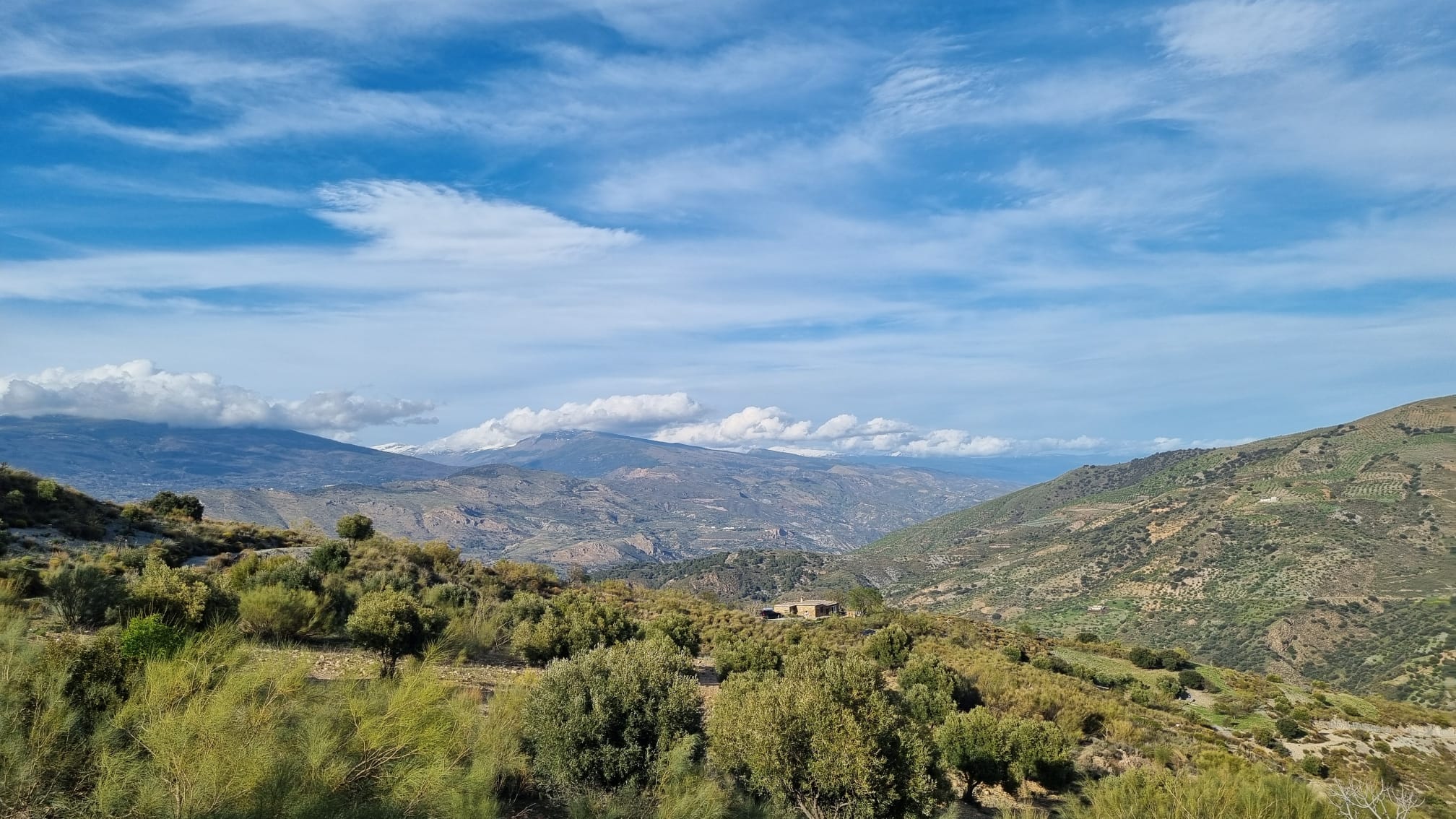Natuurhuisje in Sierra Contraviesa