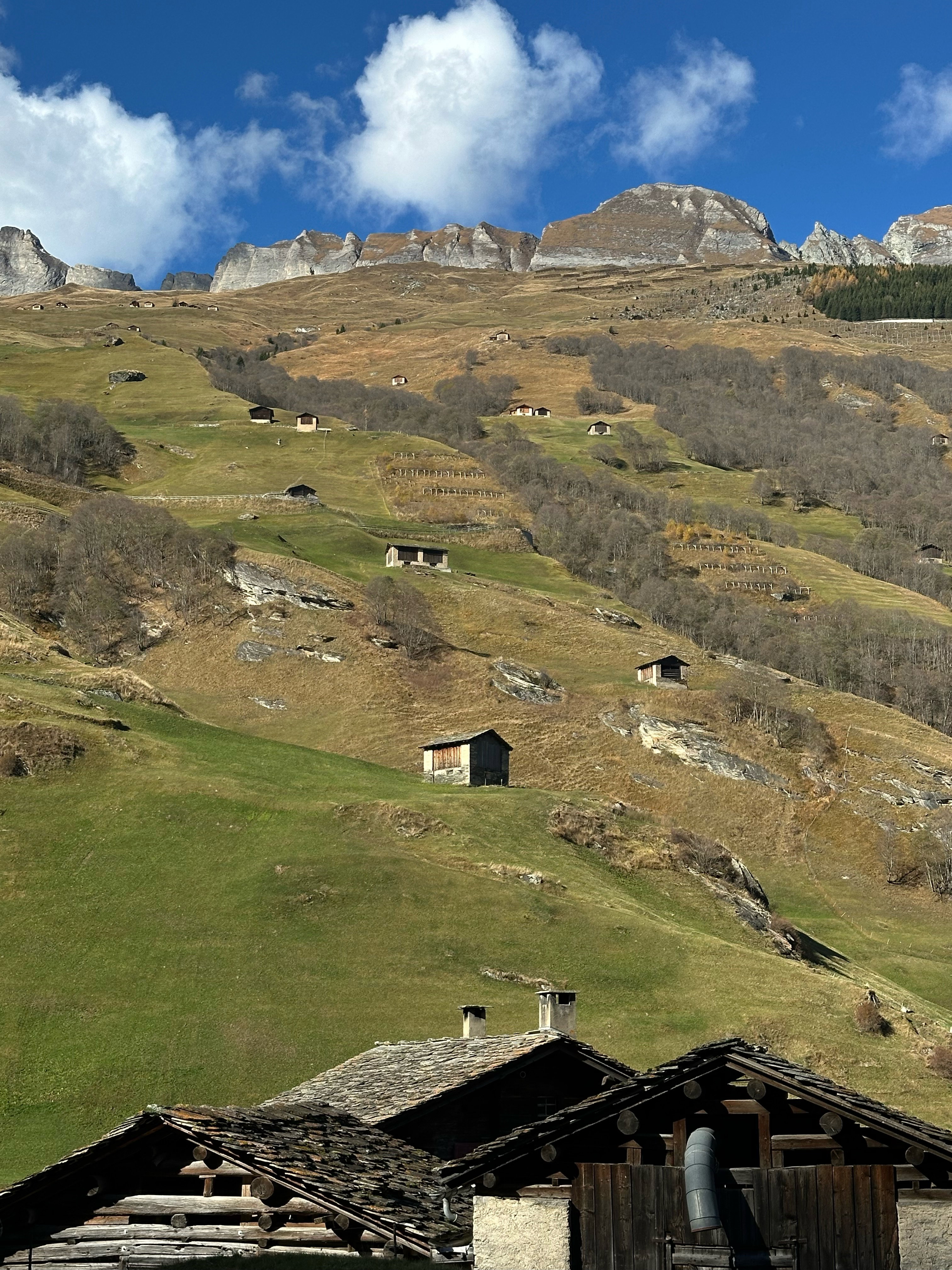 - image: 40