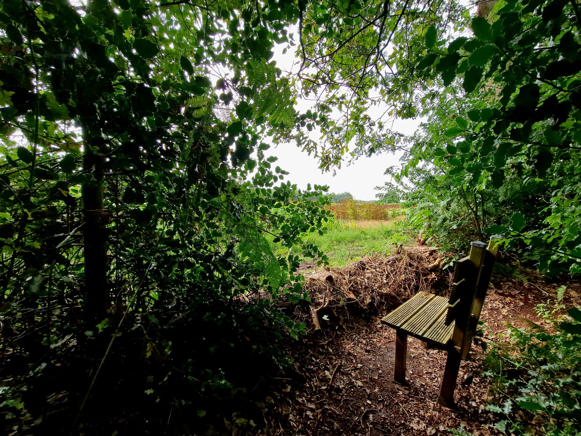 Naturhäuschen in Schijf